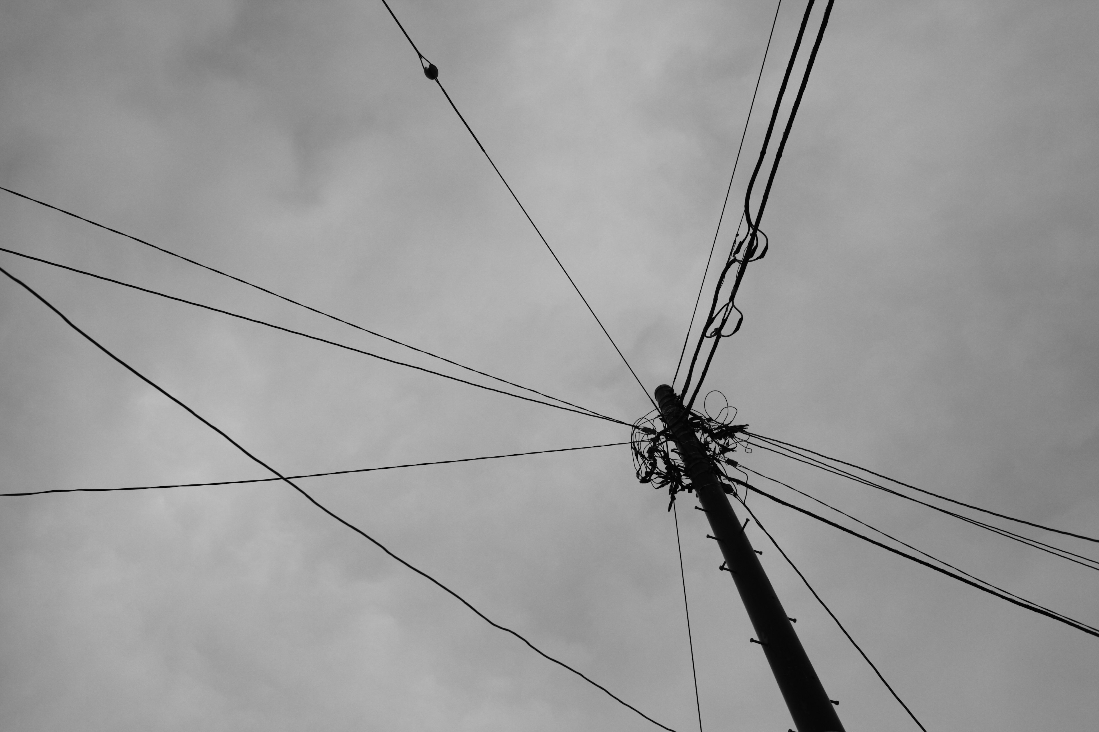 Monochrome view of a utility pole and intersecting power lines