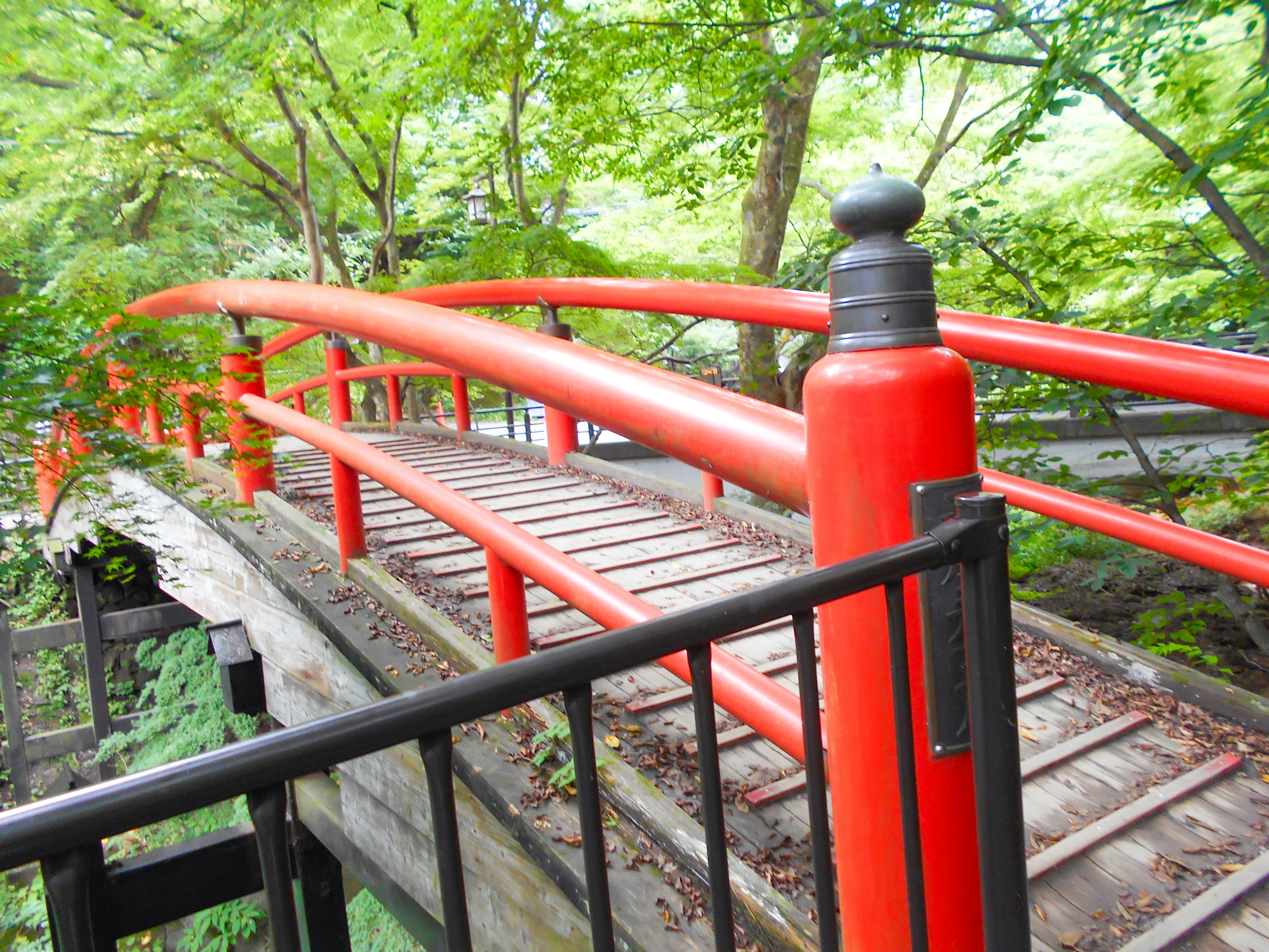 Ponte rosso circondato da alberi verdi rigogliosi