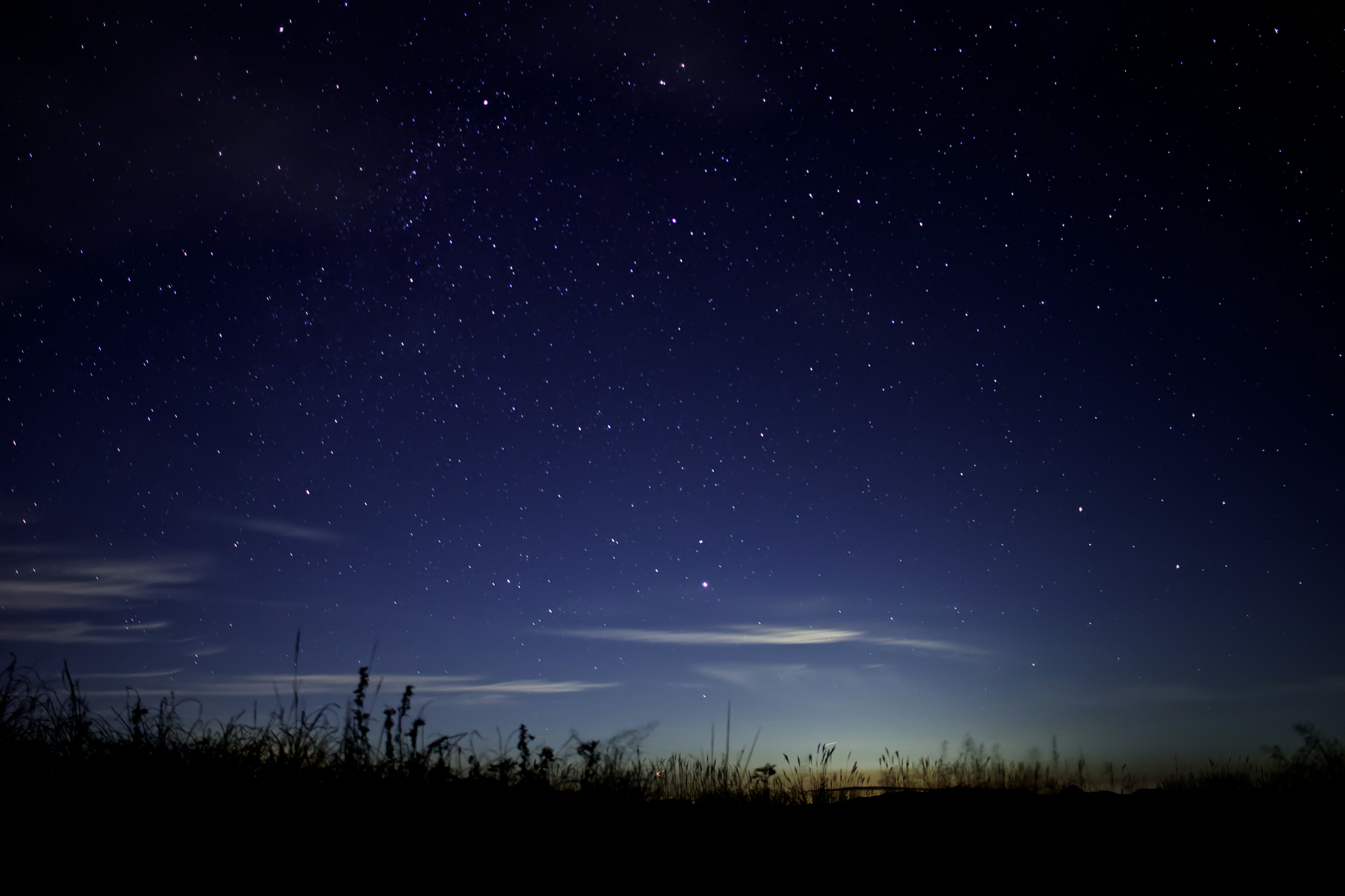 Cielo estrellado nocturno con silueta del horizonte