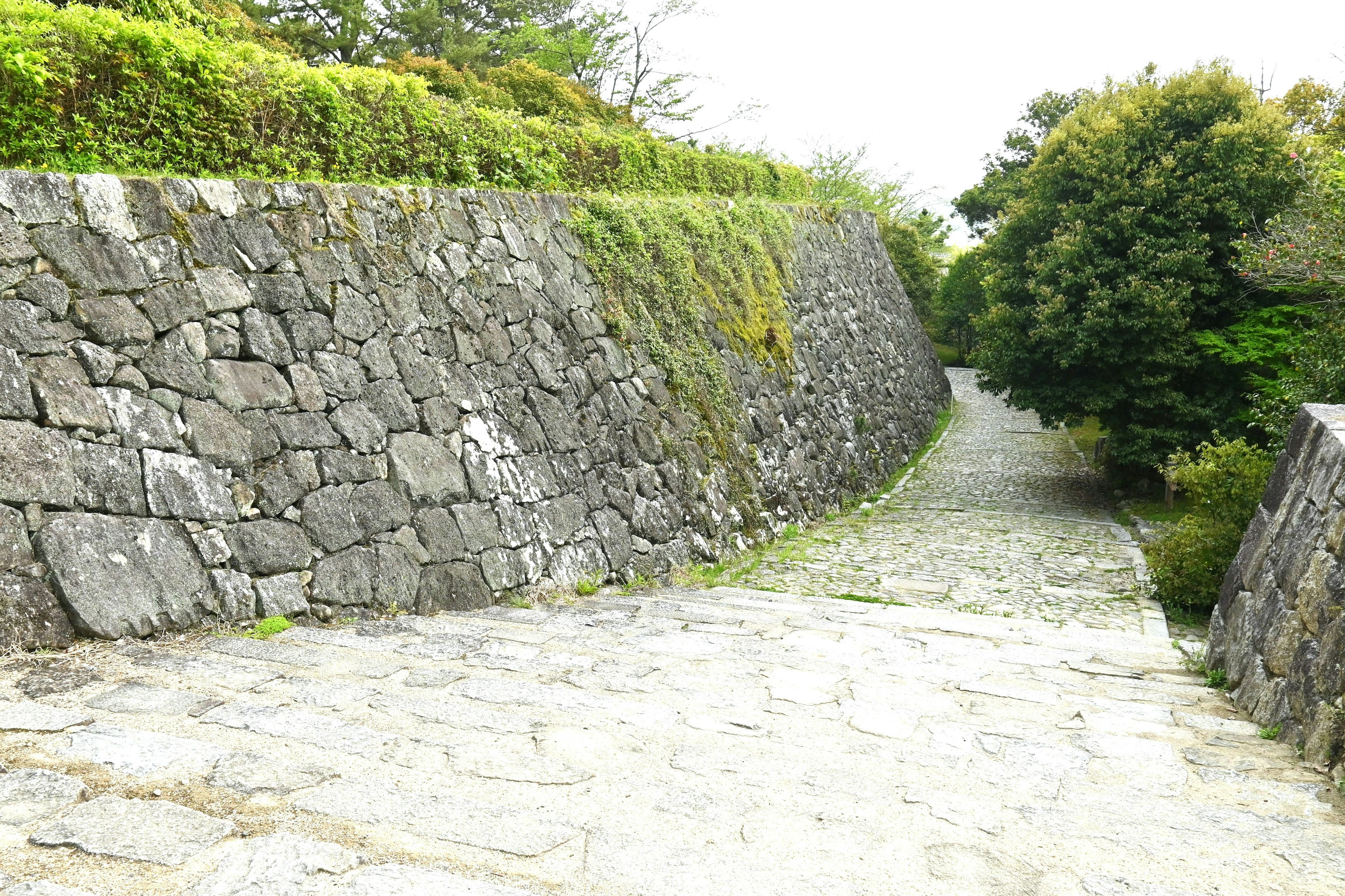 石造りの道と緑豊かな植生が見える風景