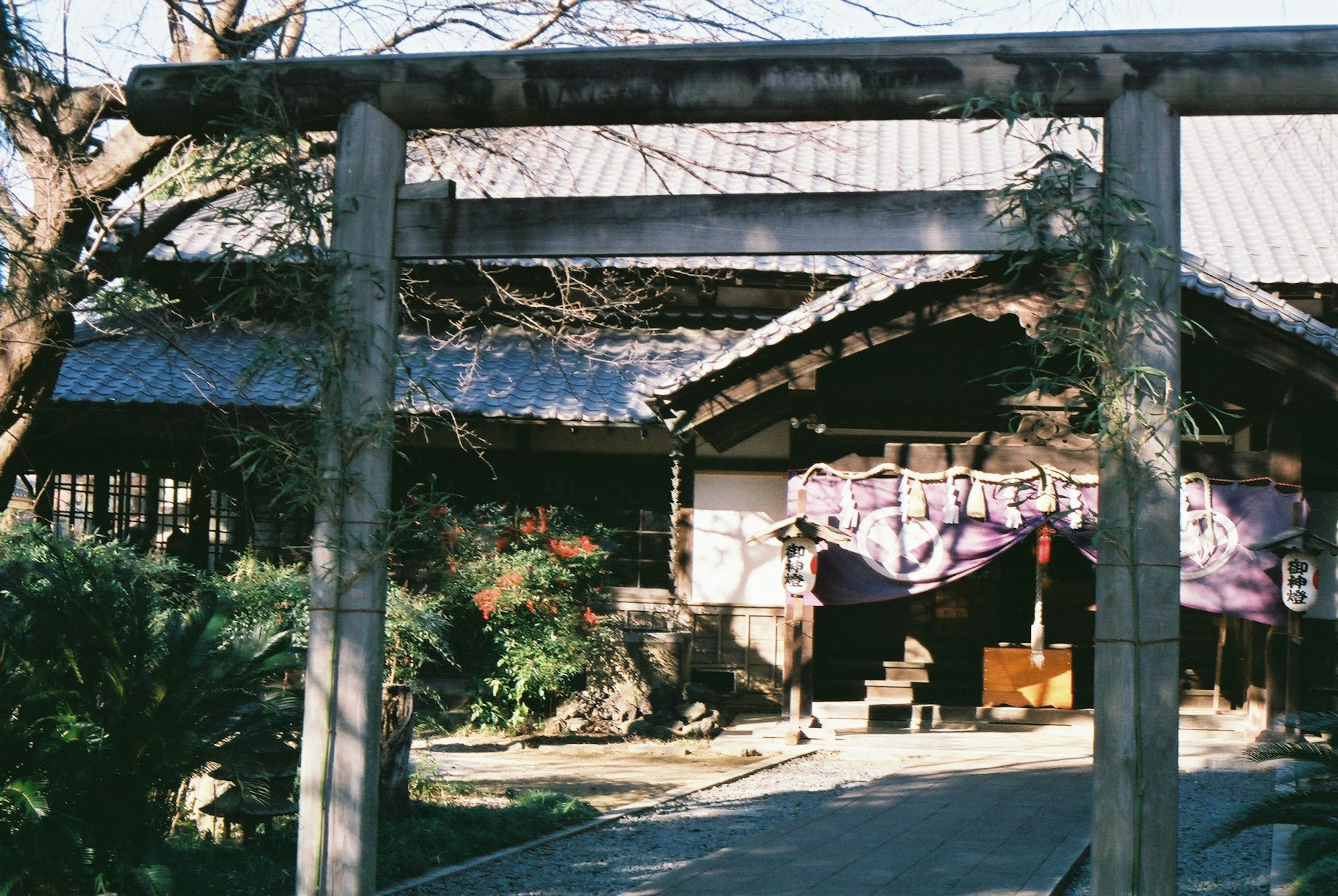 Vista de una puerta torii y un edificio japonés tradicional