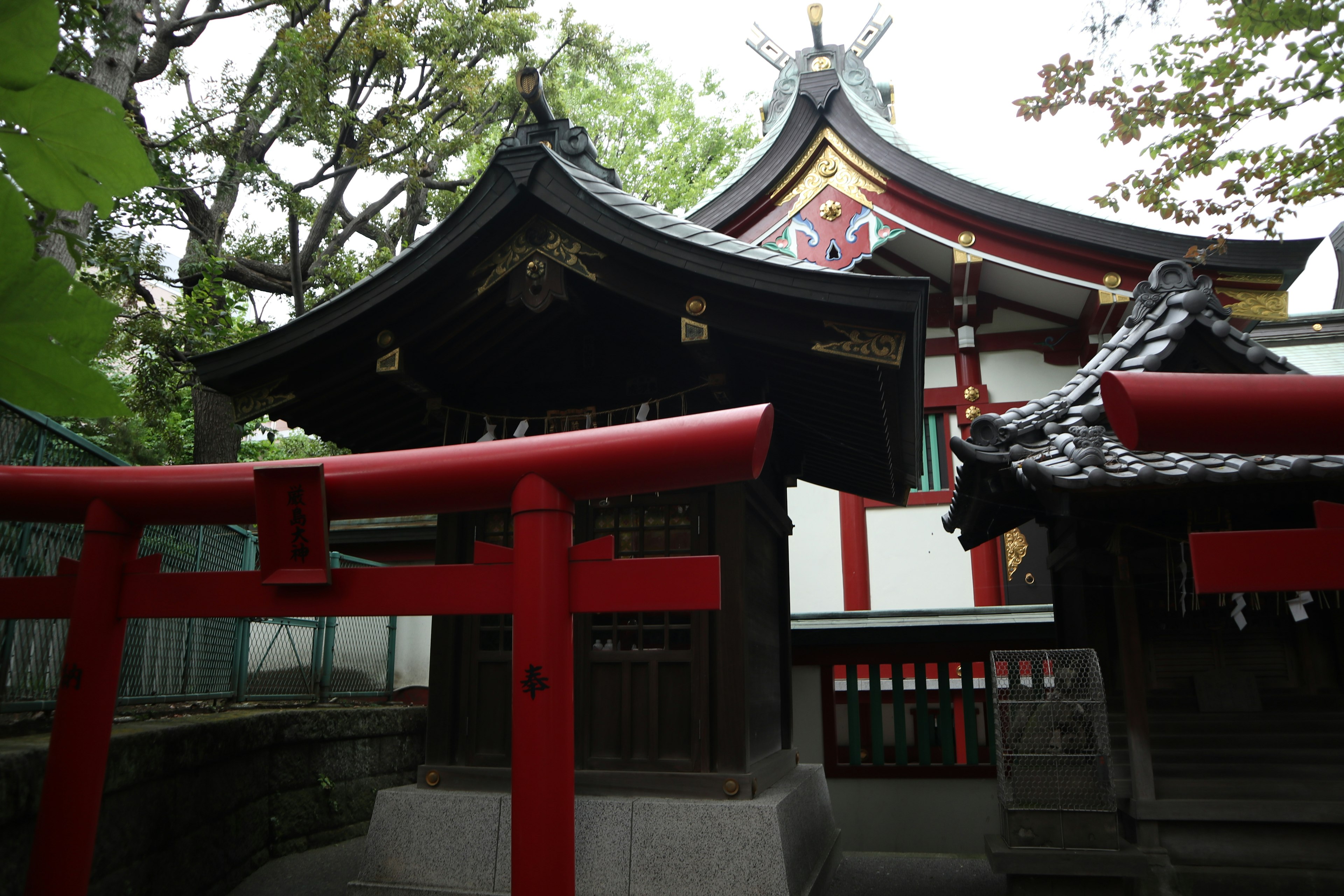 Scenic view of a traditional Japanese shrine with red torii gates