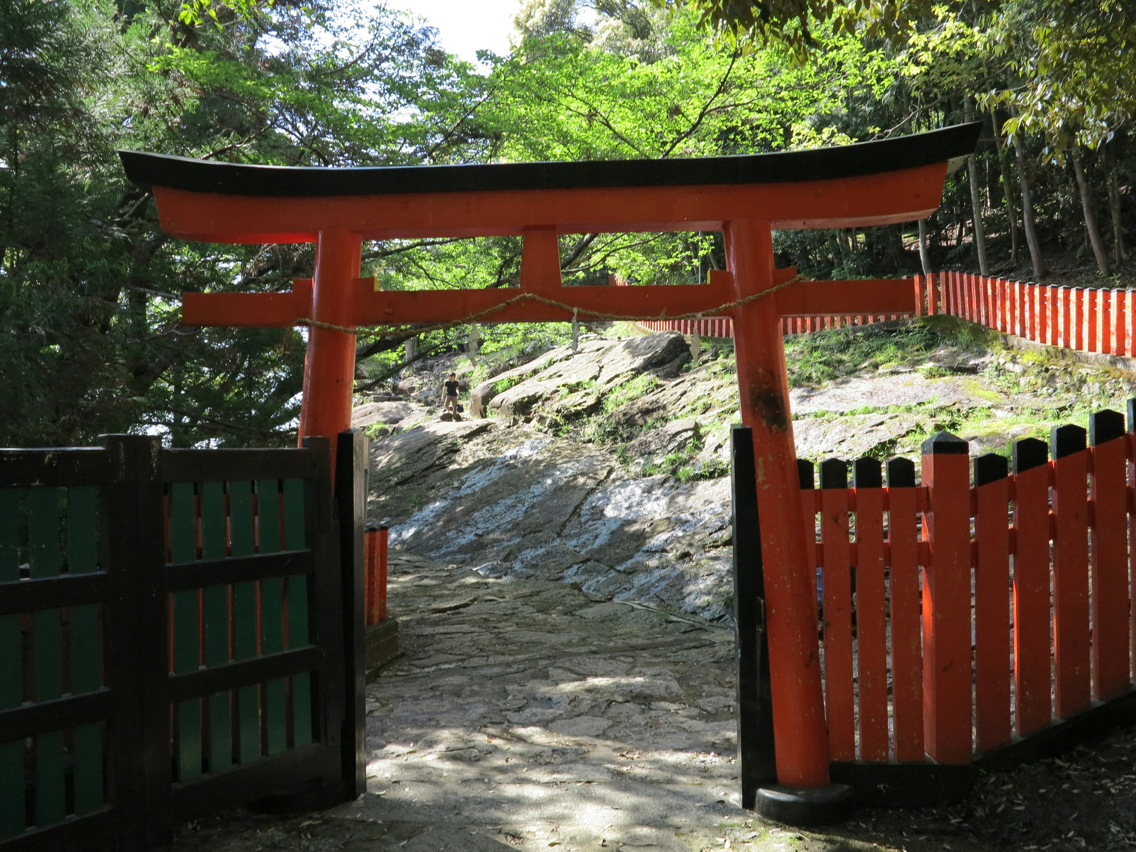 Rotes Torii mit grünen Bäumen im Hintergrund