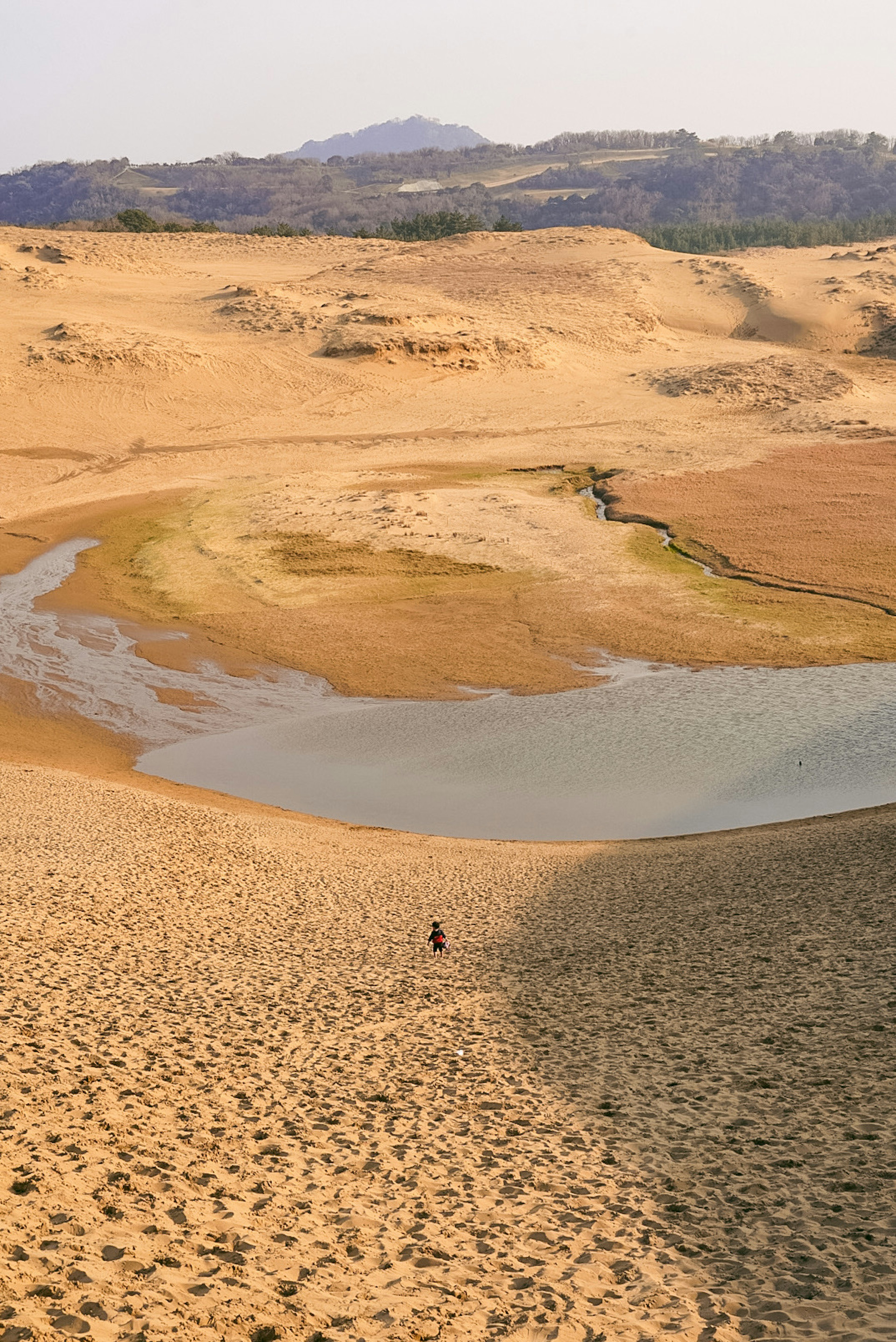 Vaste paysage désertique avec un petit plan d'eau