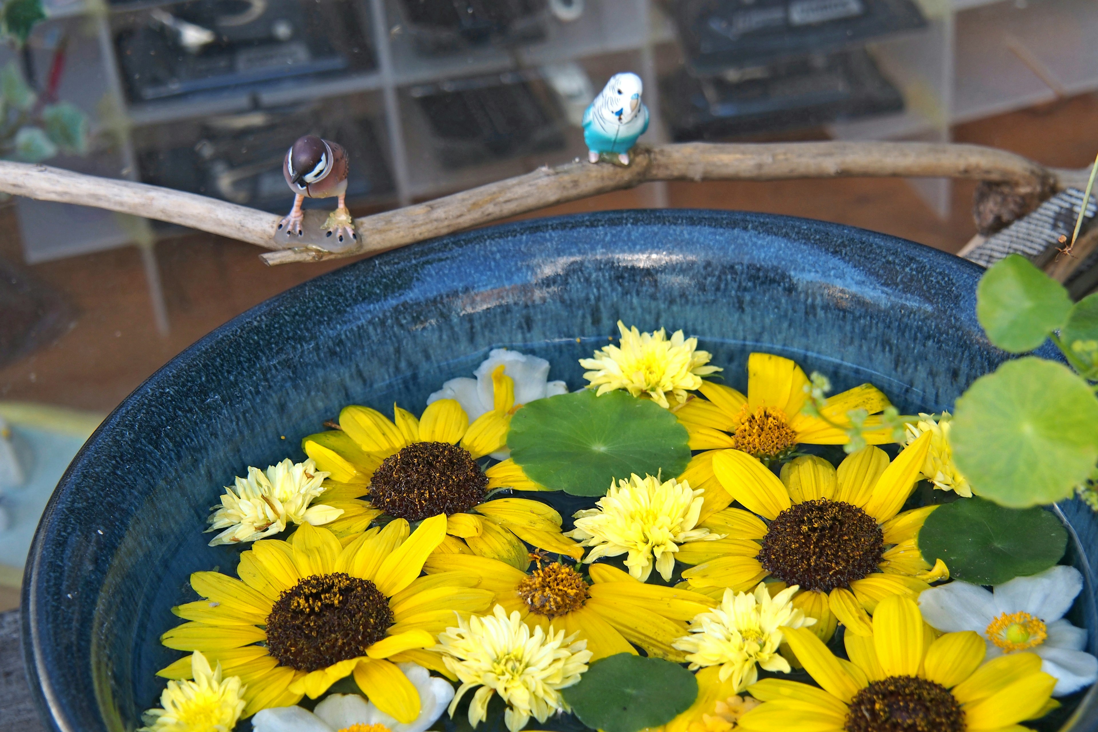 Blauer Schüssel gefüllt mit Sonnenblumen und weißen Blumen mit dekorativen Vögeln