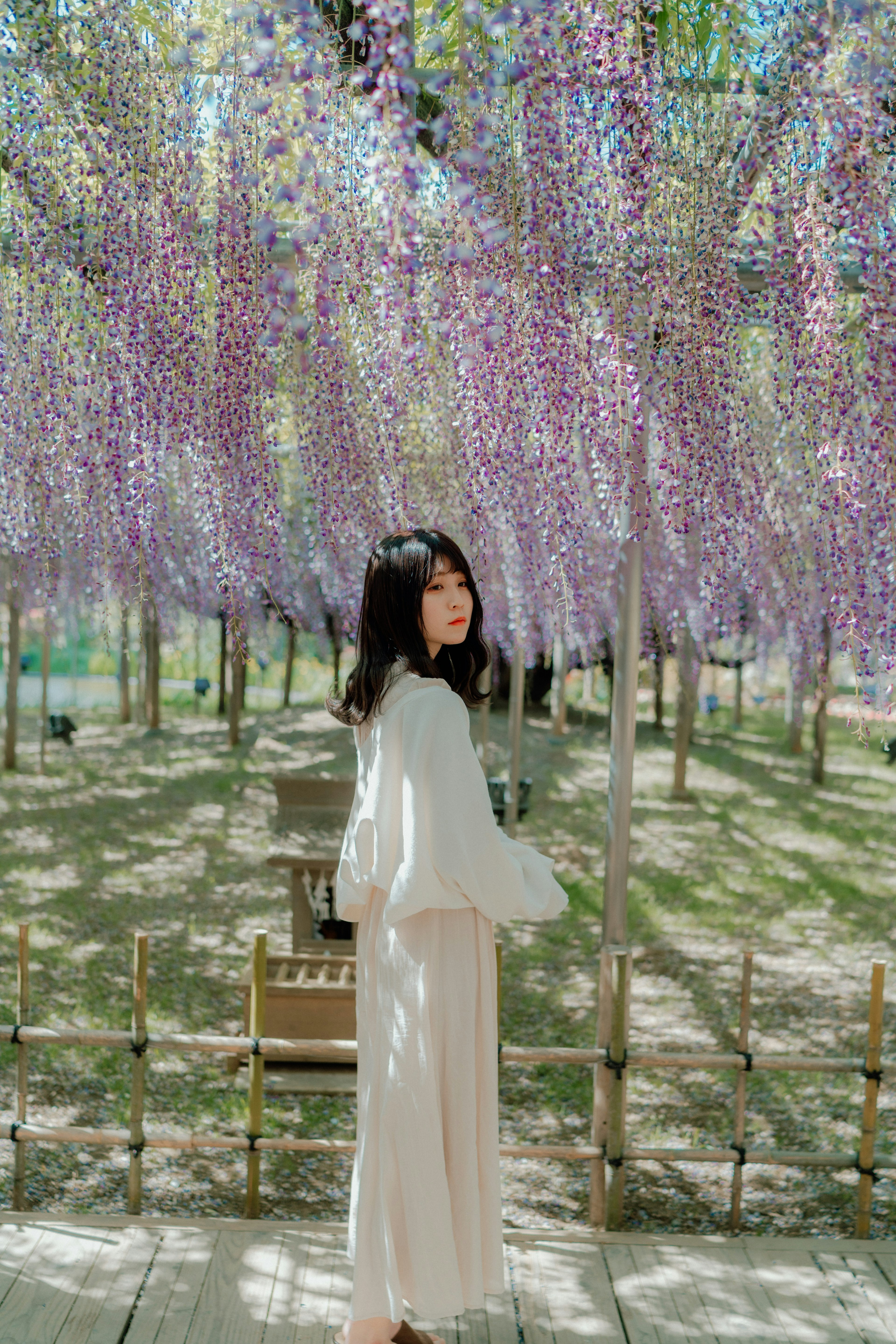 Une femme se tenant sous des fleurs de glycine violettes suspendues