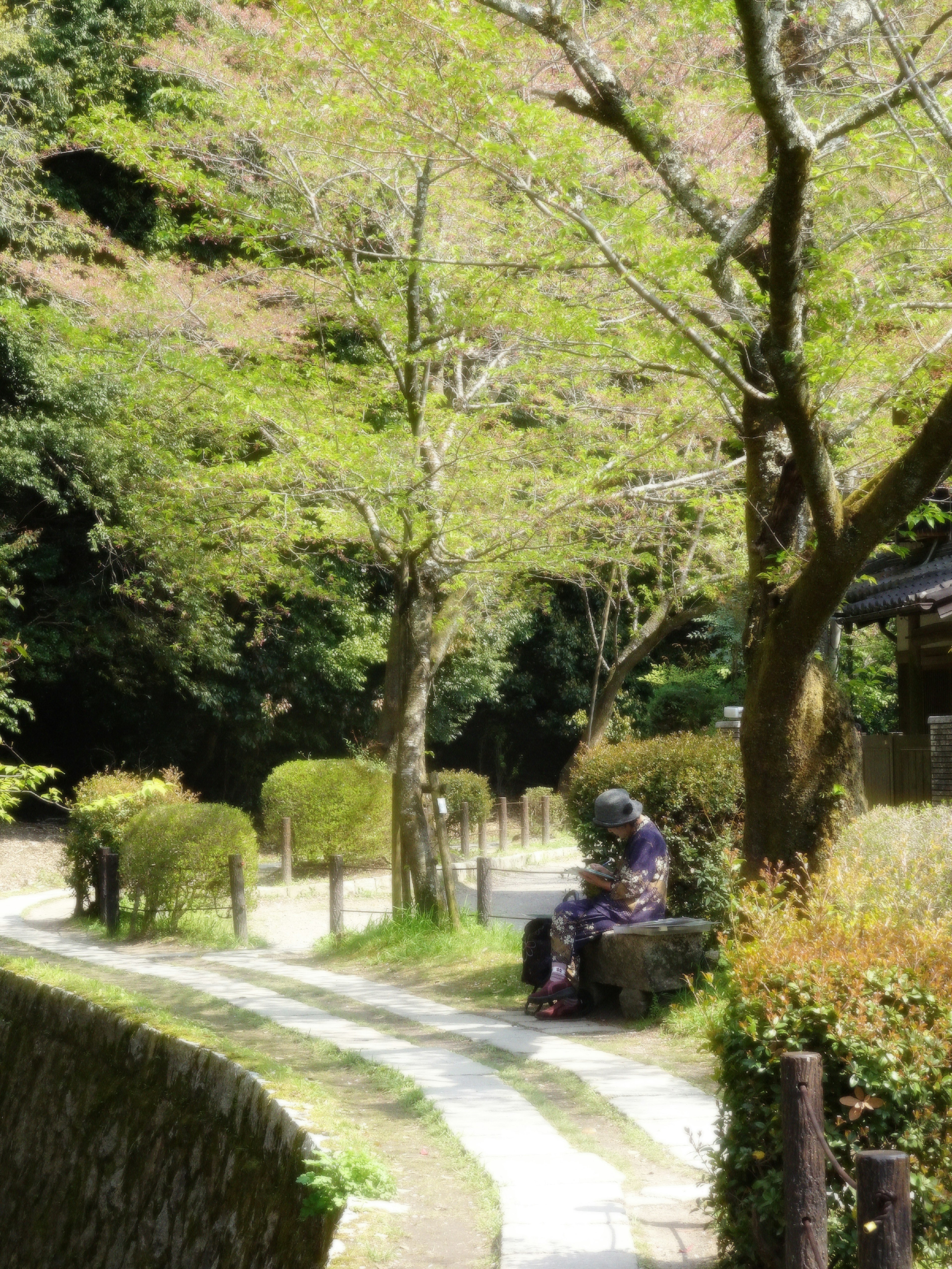緑豊かな公園の小道に座る人と周囲の木々