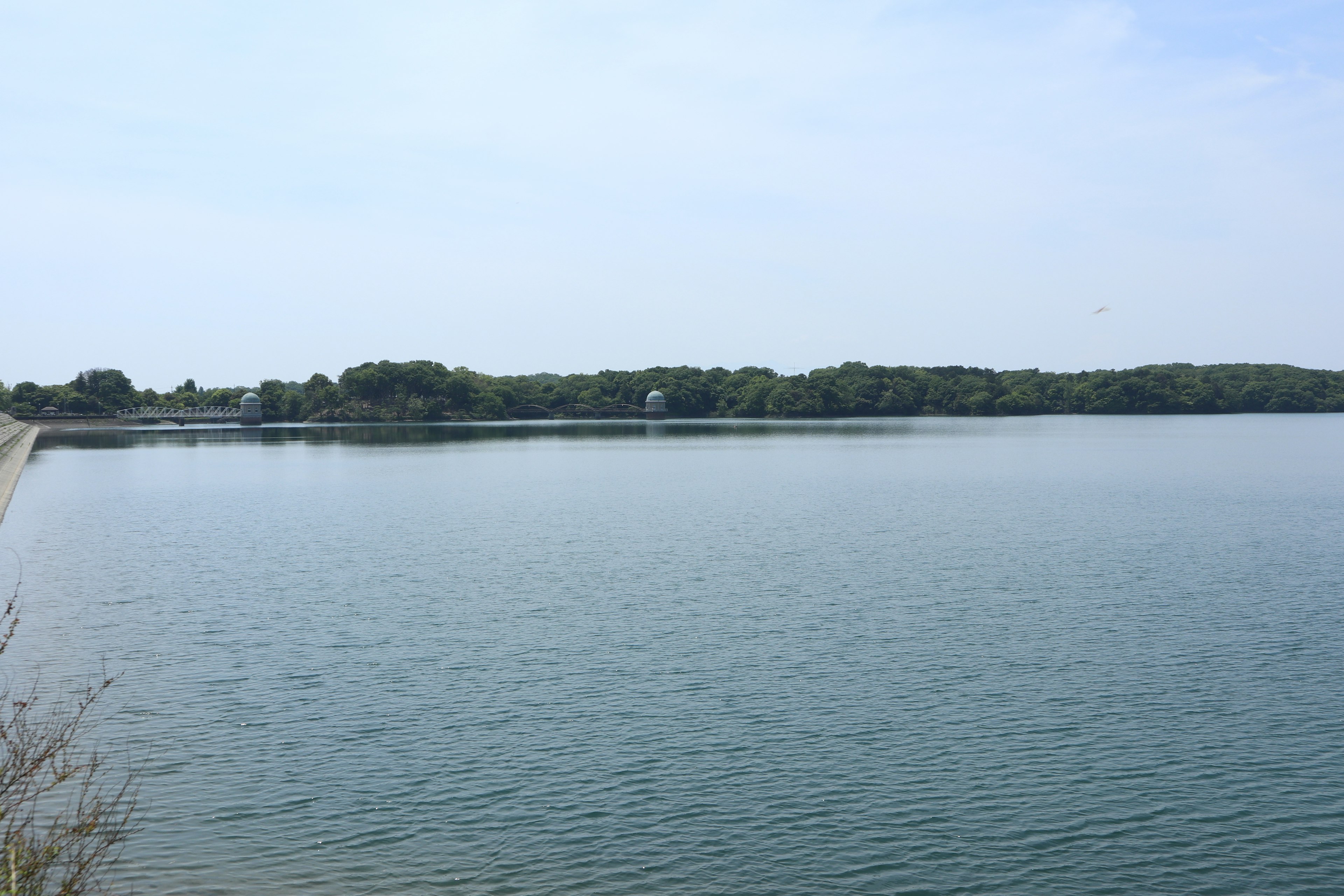 Vue d'un lac calme avec de l'eau réfléchissante et des arbres verts