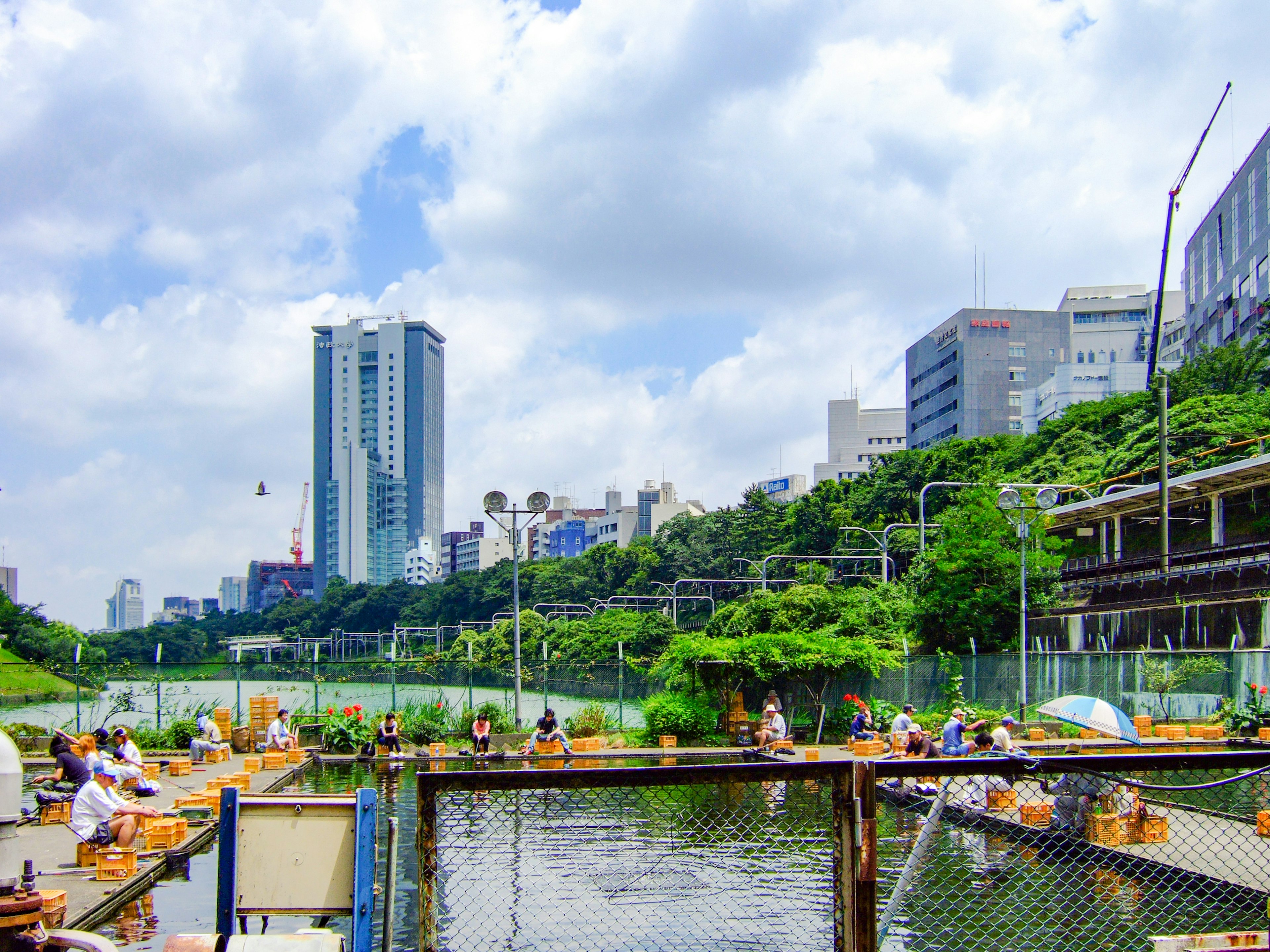 川沿いの公園でボートを楽しむ人々と都市の風景