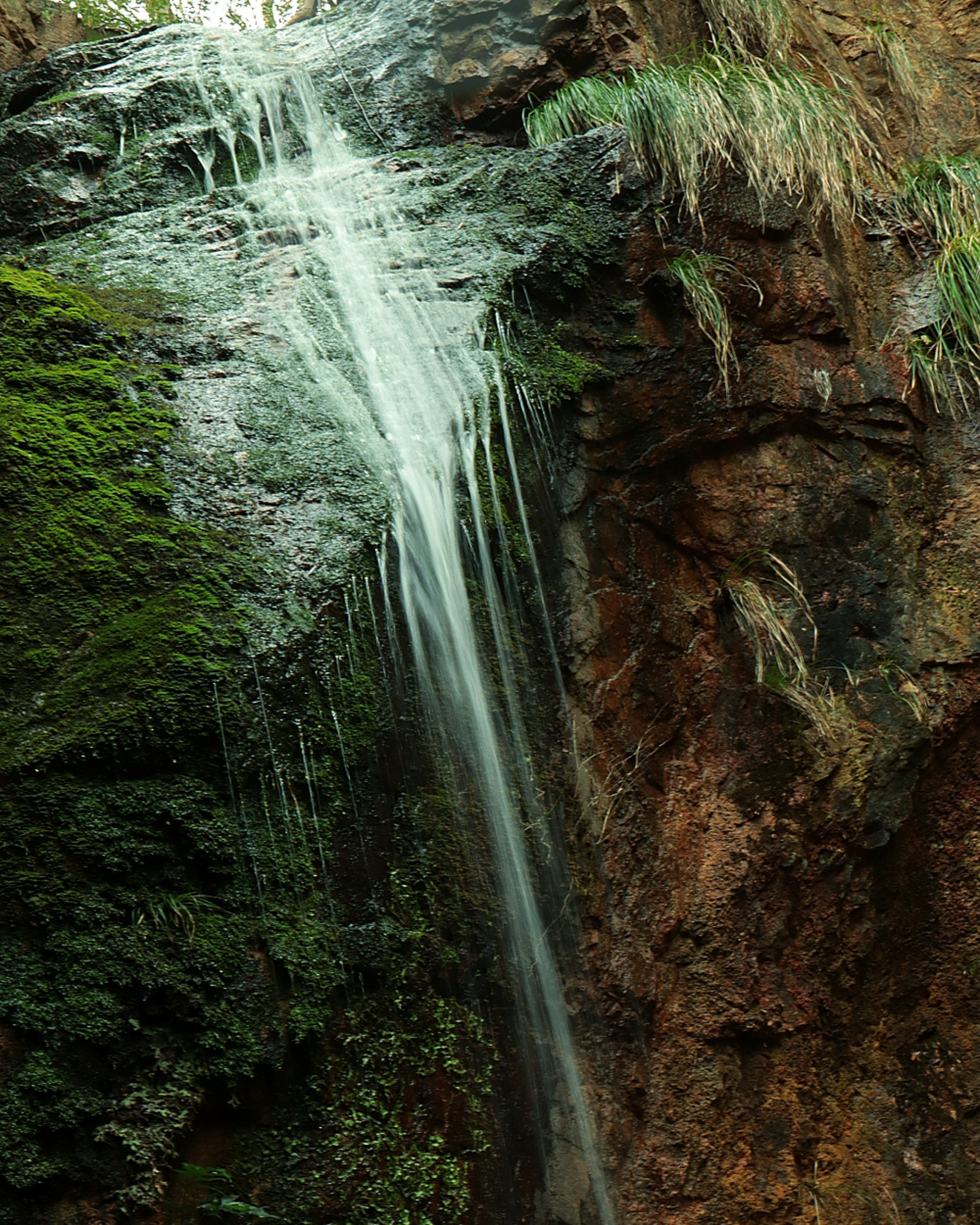 Bild eines Wasserfalls, der über eine moosbedeckte Felswand fließt