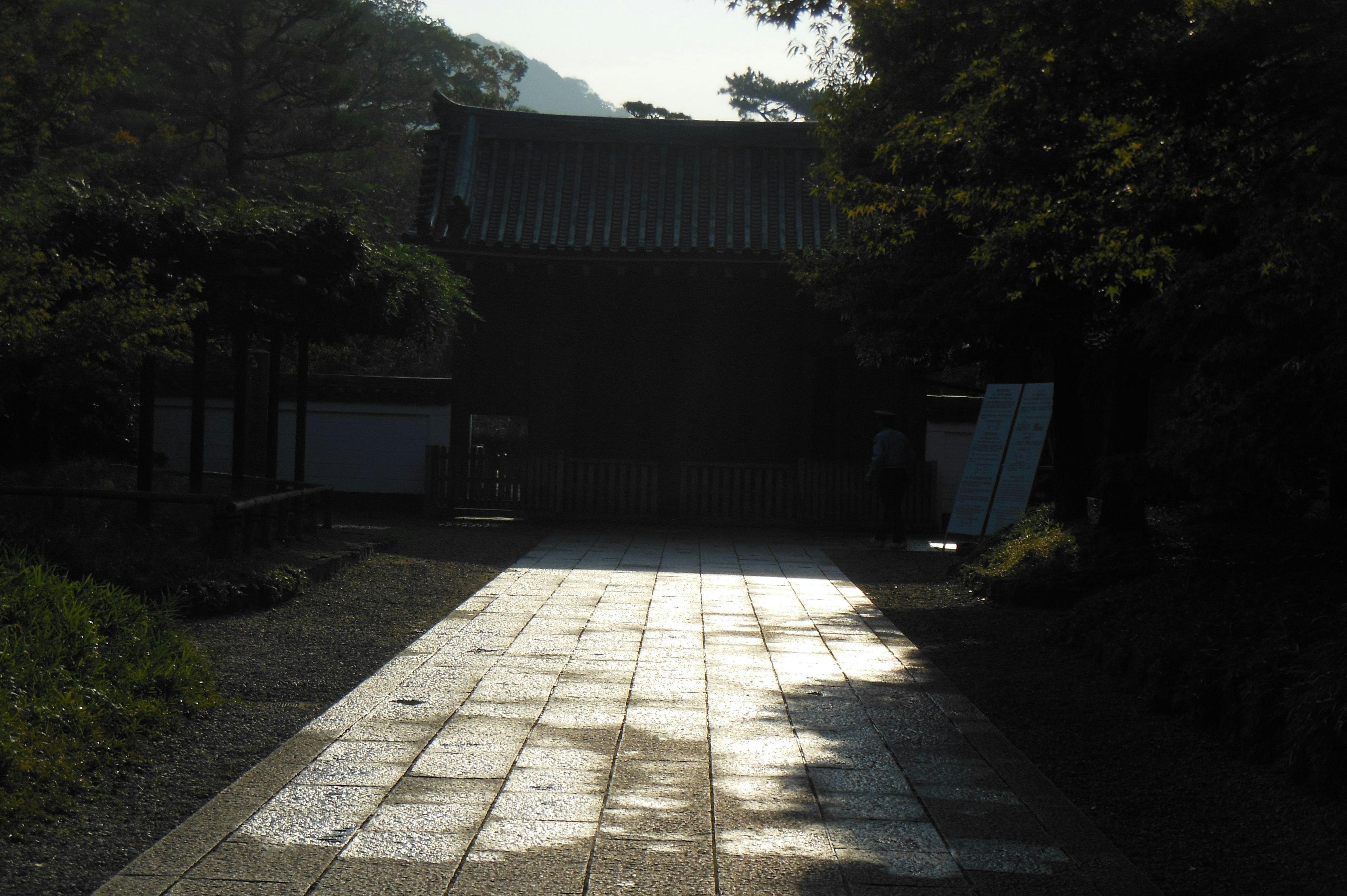 Quiet temple gate with a stone path illuminated by soft light