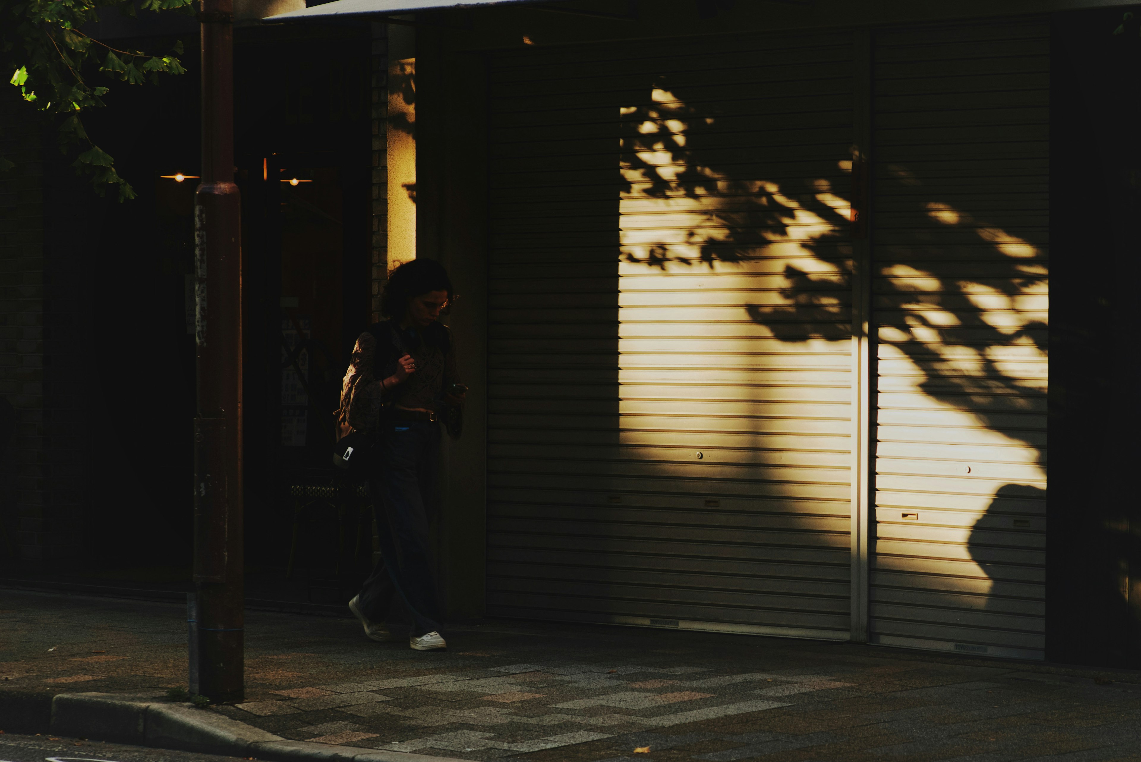 A street scene with a person walking and shadows cast on a shutter