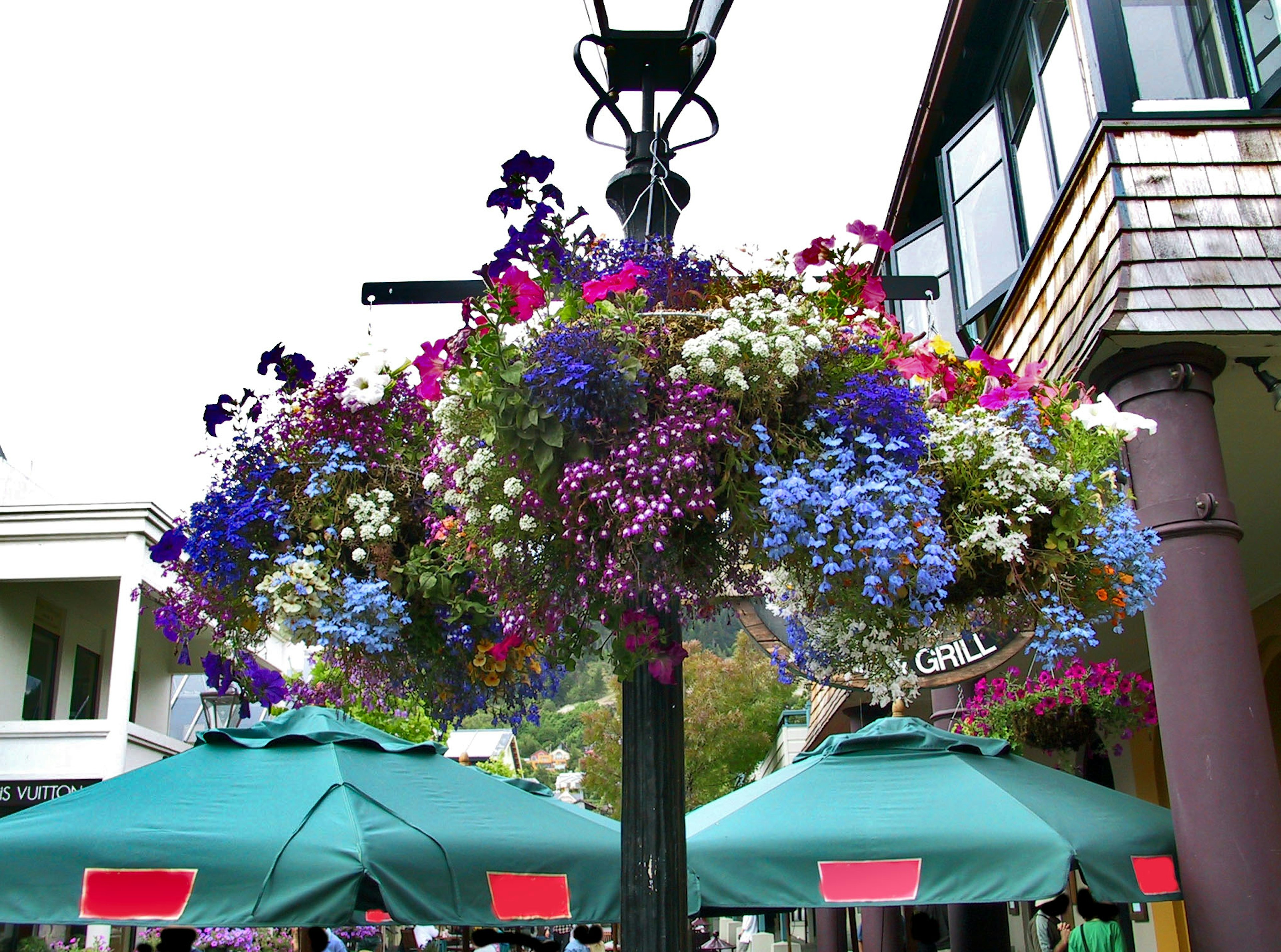 Colorful hanging flower basket adorned with various blooms hanging from a street lamp