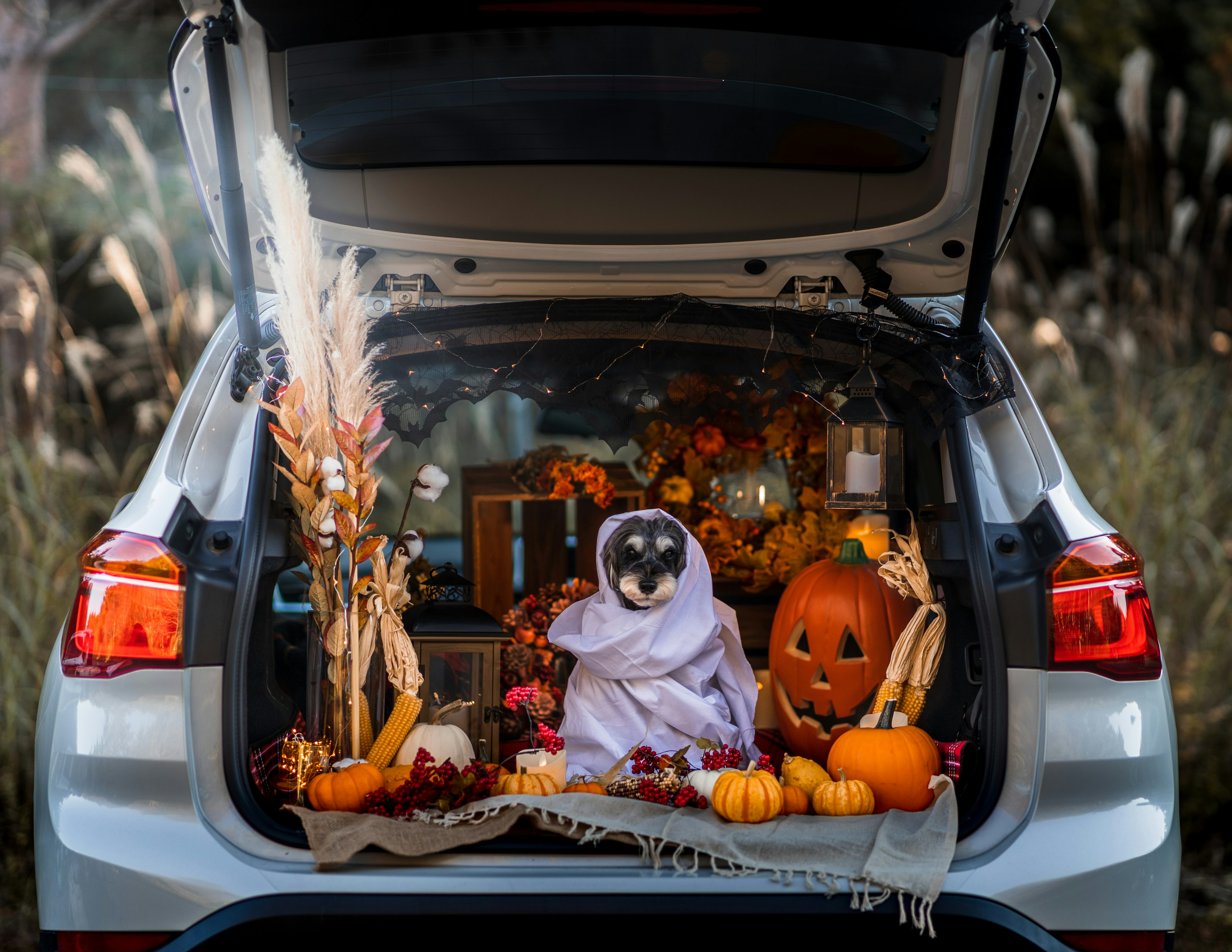 Halloween-themed trunk display featuring a white-hooded owl figure with a carved pumpkin and small gourds