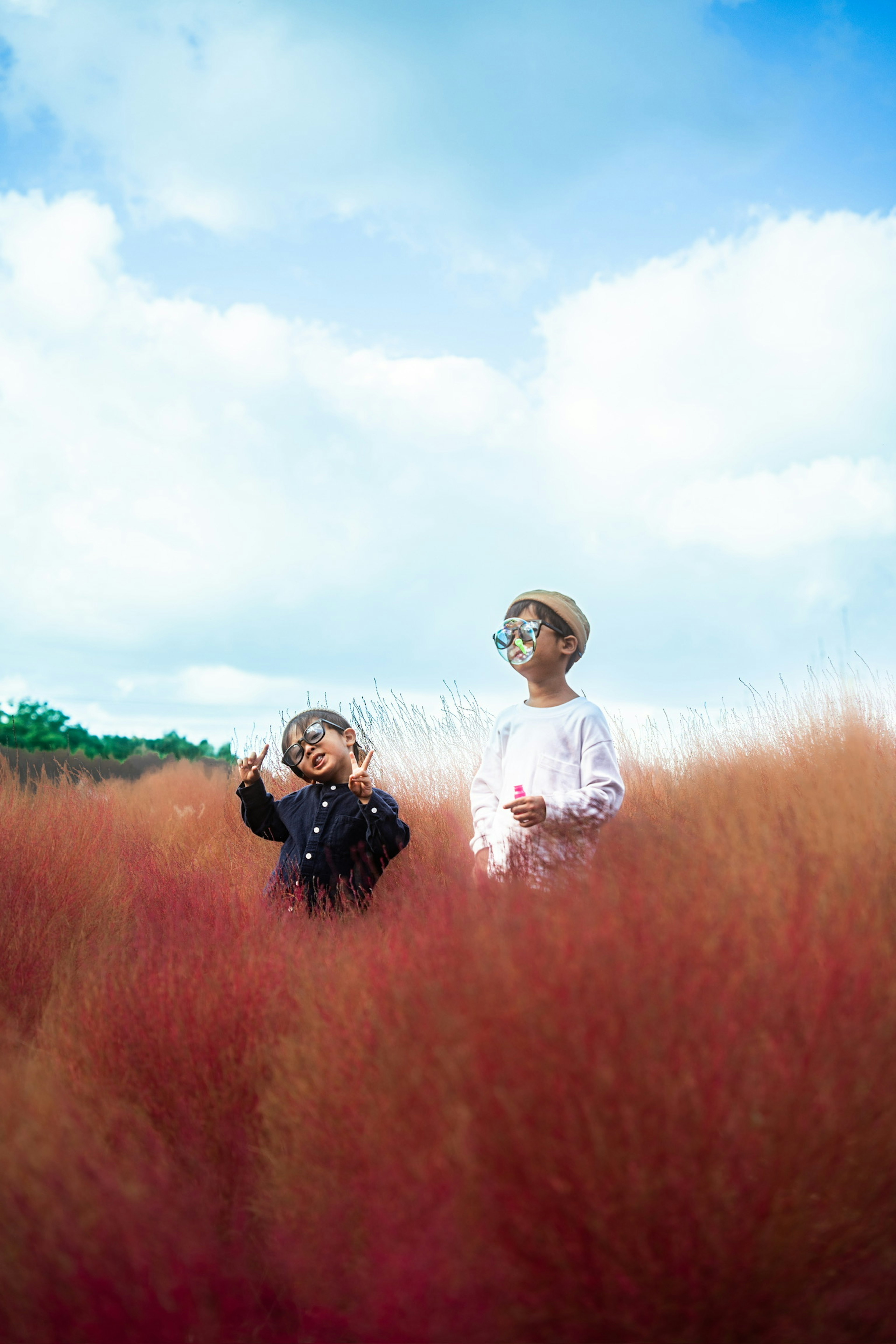 Kinder spielen in einem Feld mit rotem Gras unter einem blauen Himmel