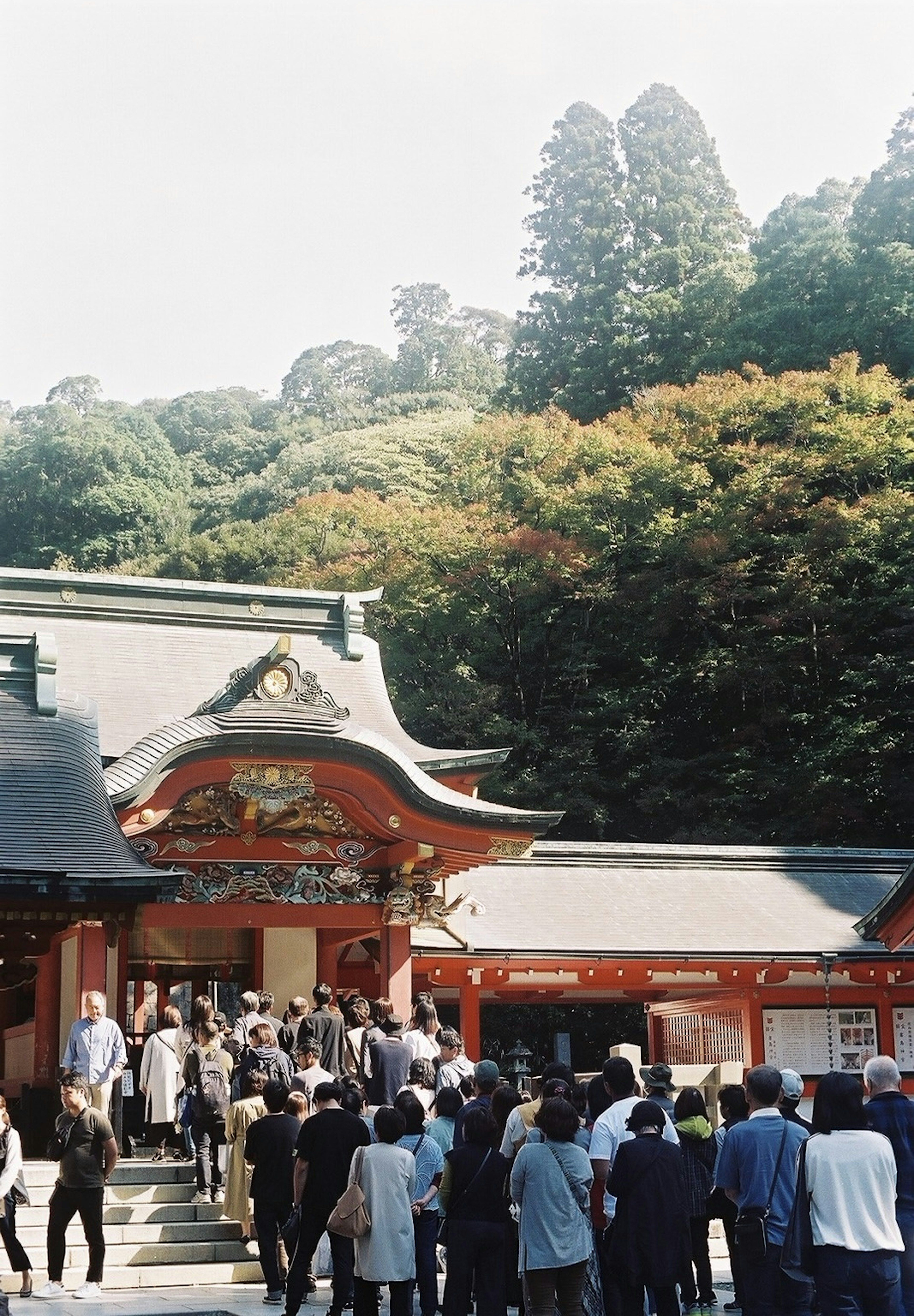 多くの人々が神社の前に集まっている風景 緑豊かな木々と美しい建築が特徴