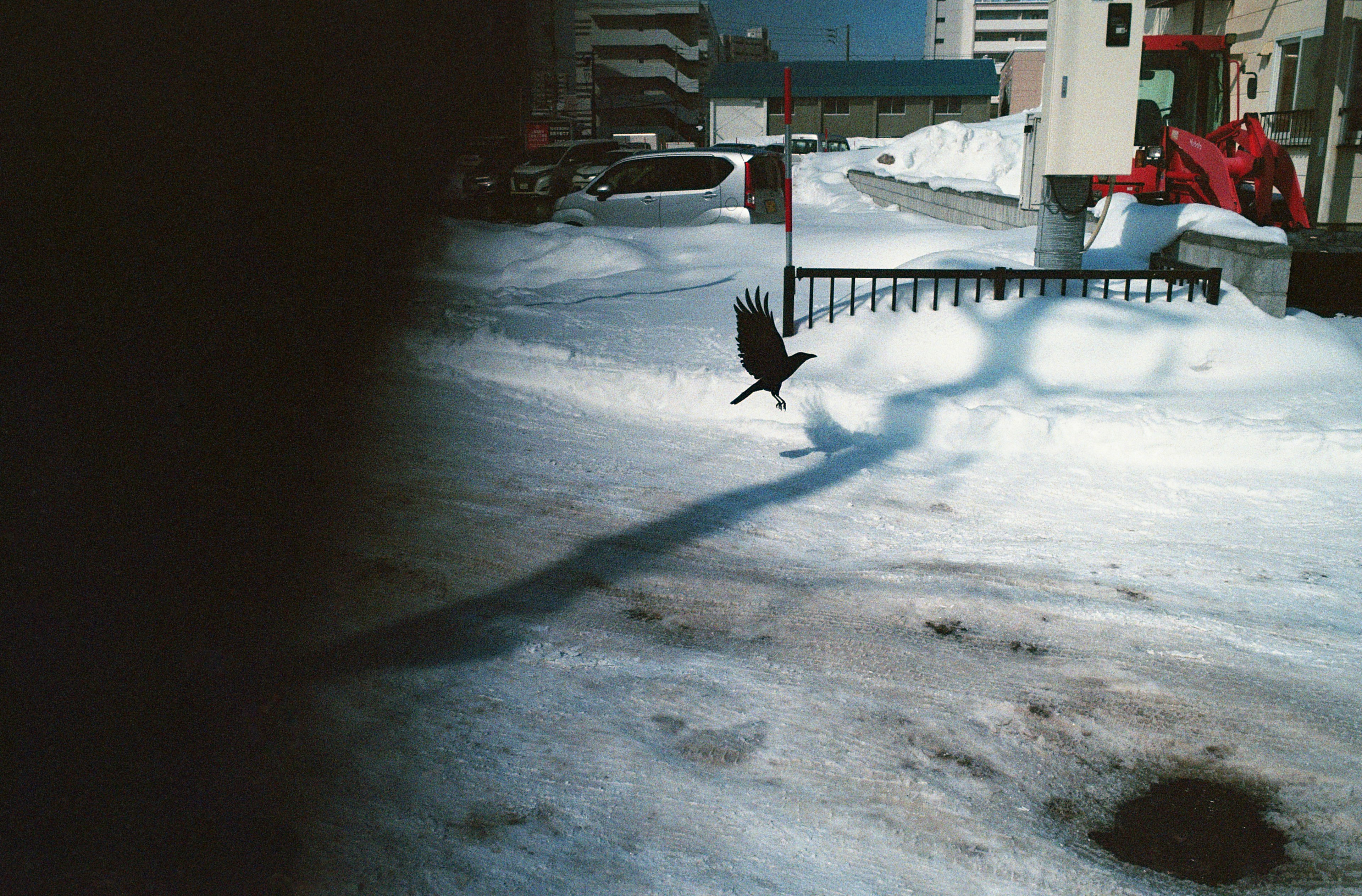 Un pájaro despegando en un estacionamiento cubierto de nieve