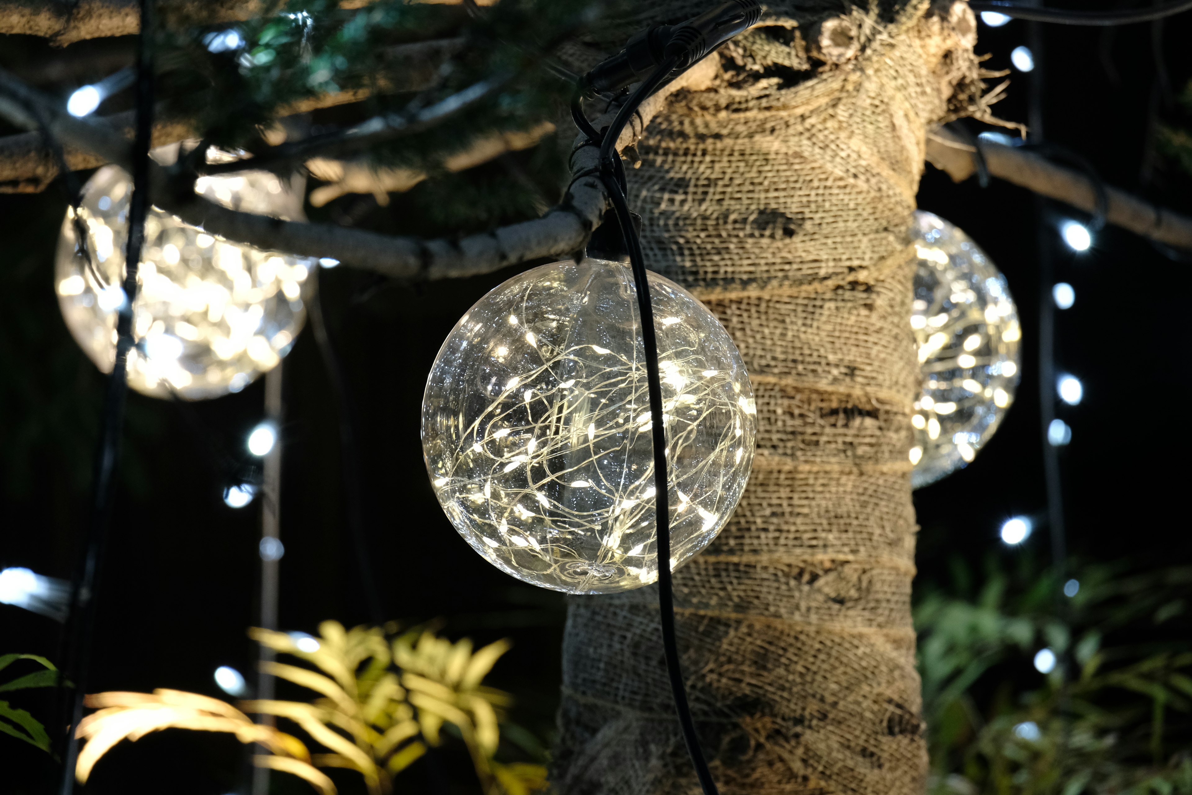 Illuminated ornaments hanging on a tree trunk with background lights