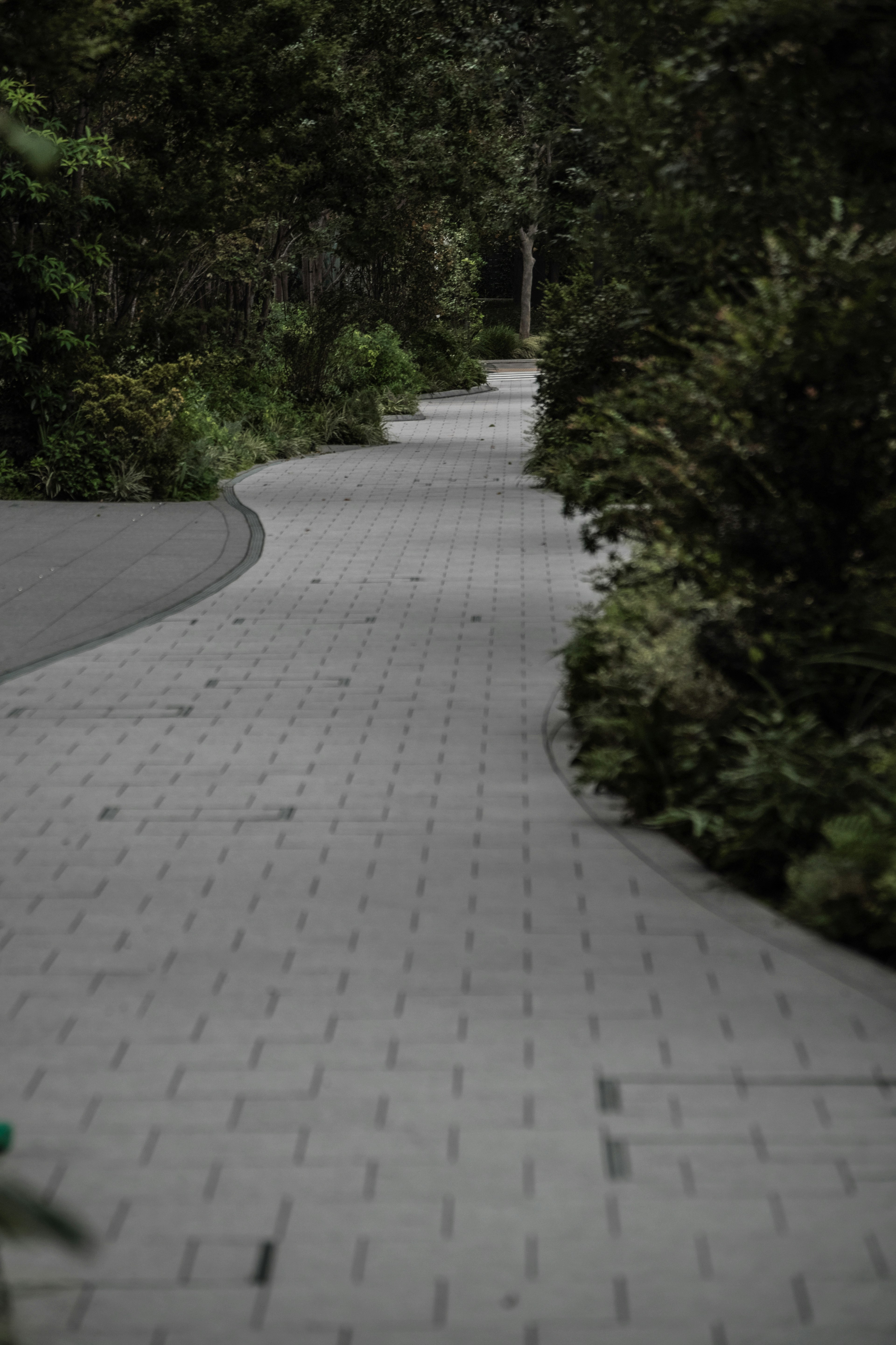 Curved walkway surrounded by greenery