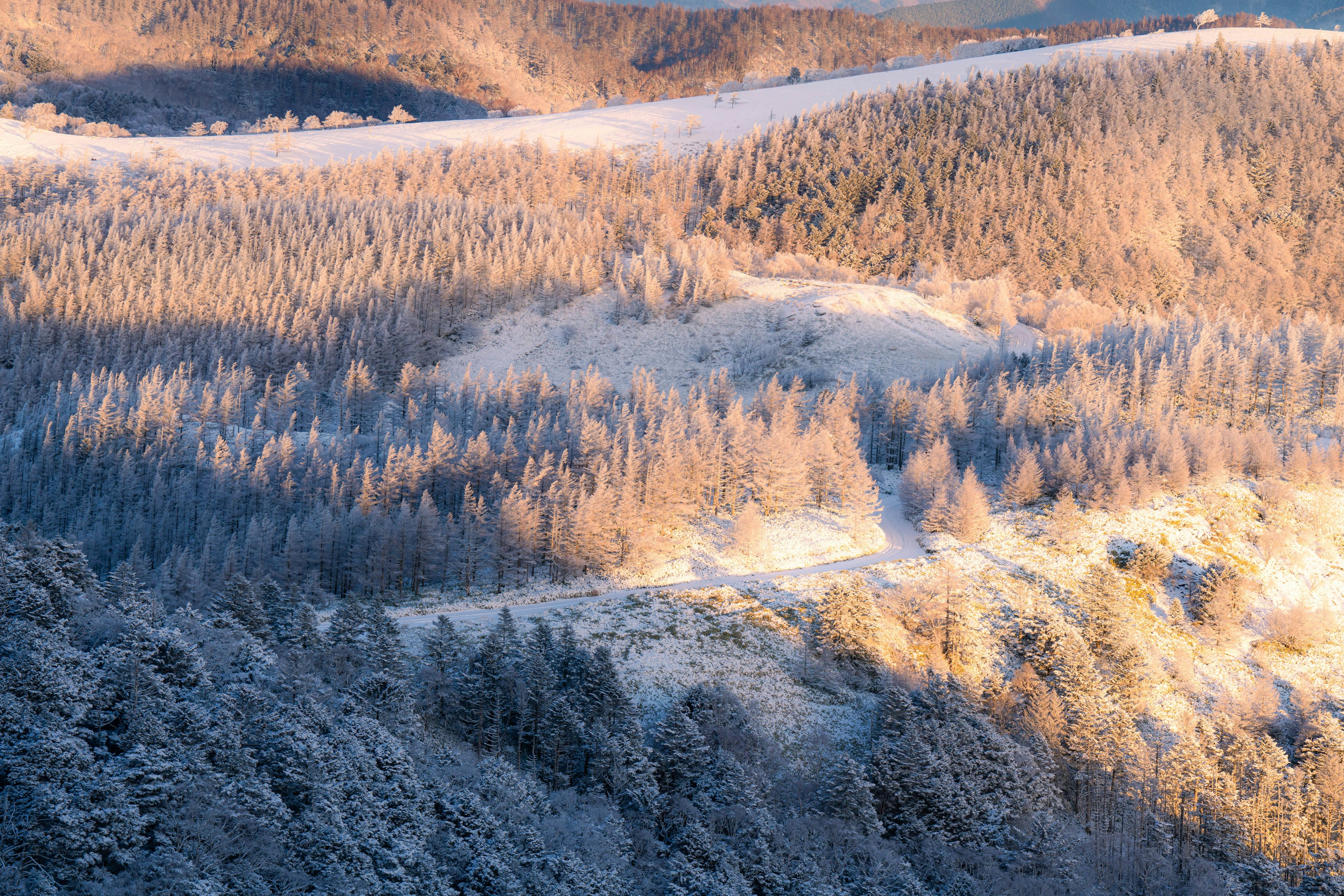 Winterlandschaft mit schneebedeckten Wäldern und Hügeln