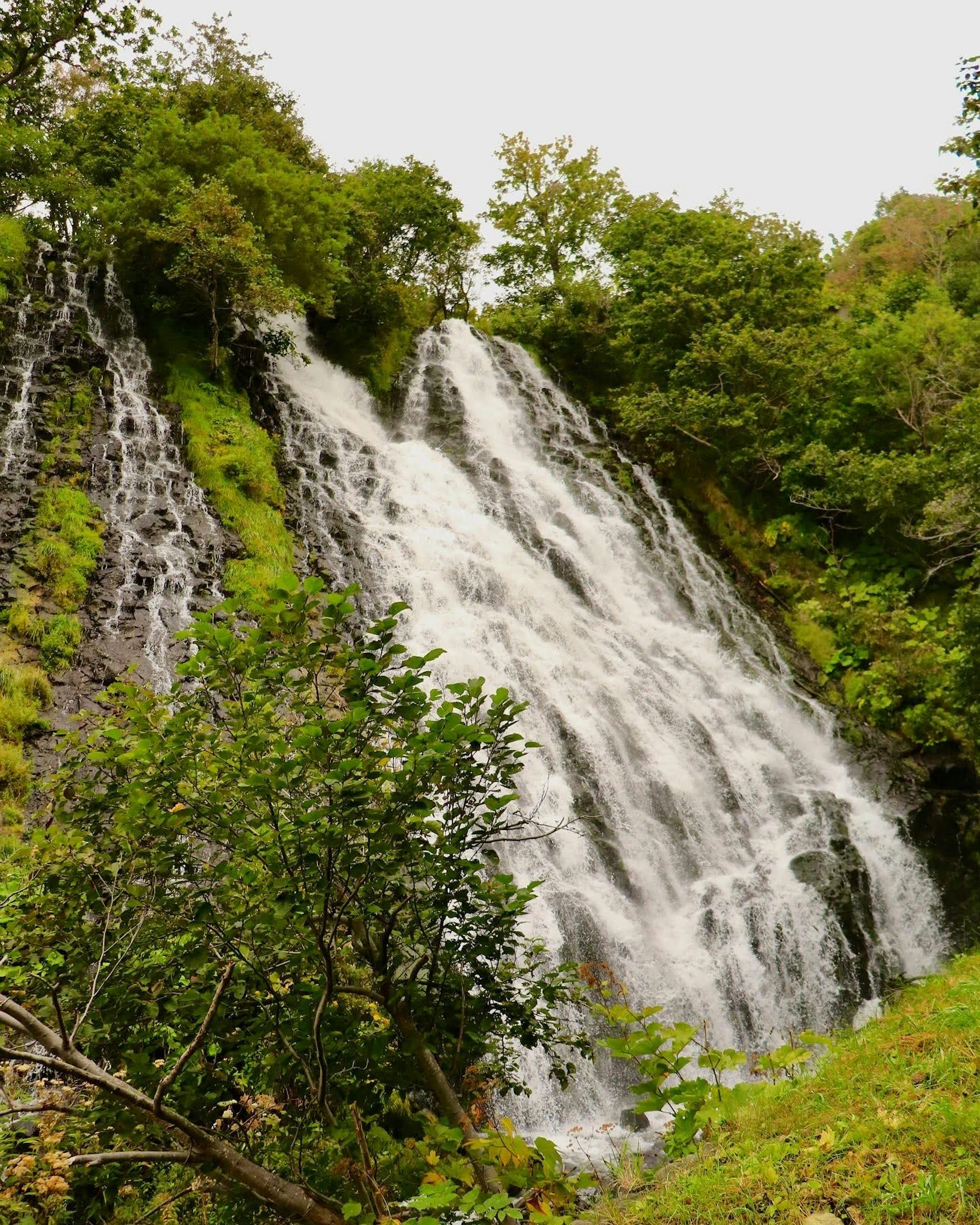 Una bellissima cascata circondata da alberi verdi lussureggianti