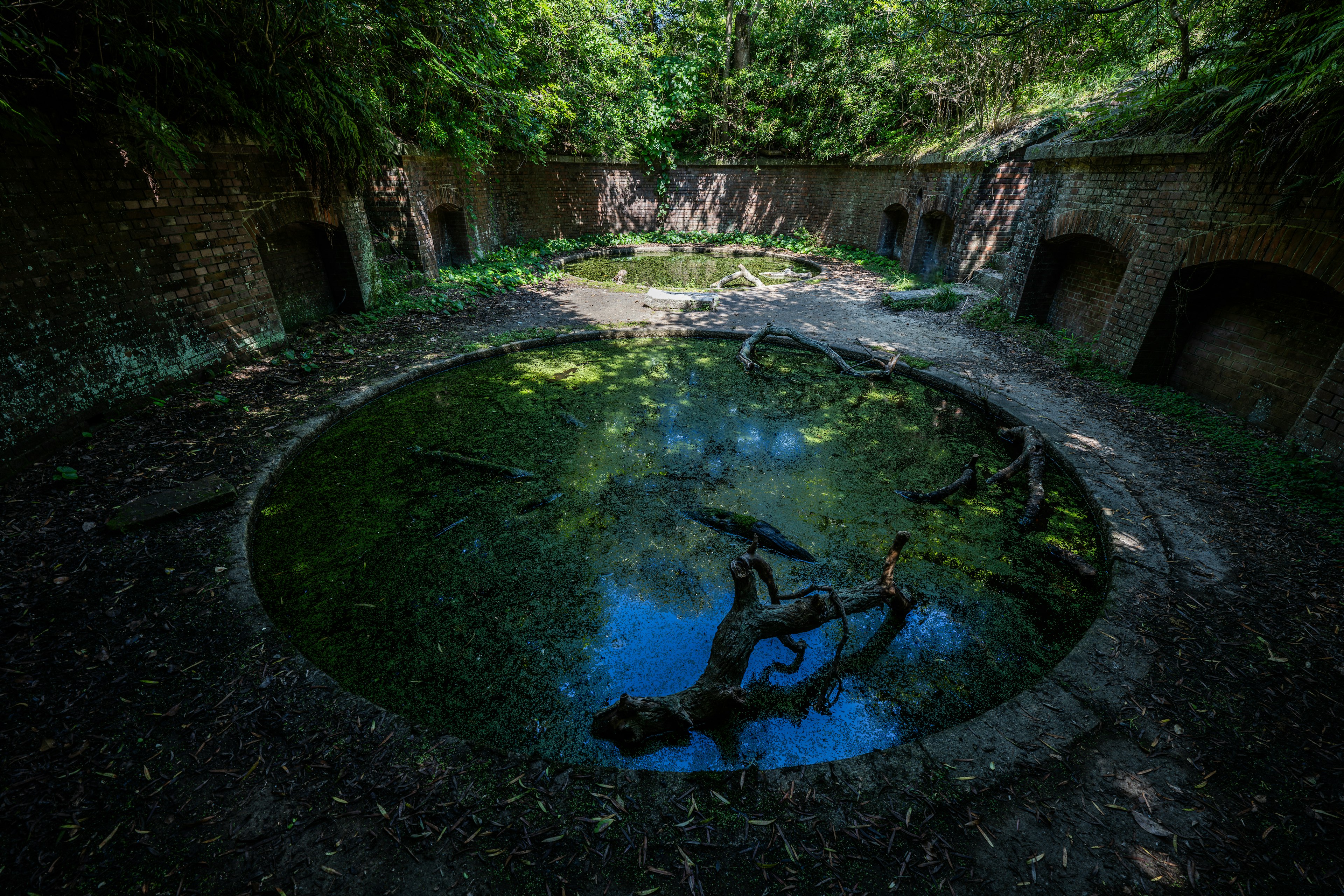 A circular pond surrounded by overgrown ruins and lush greenery