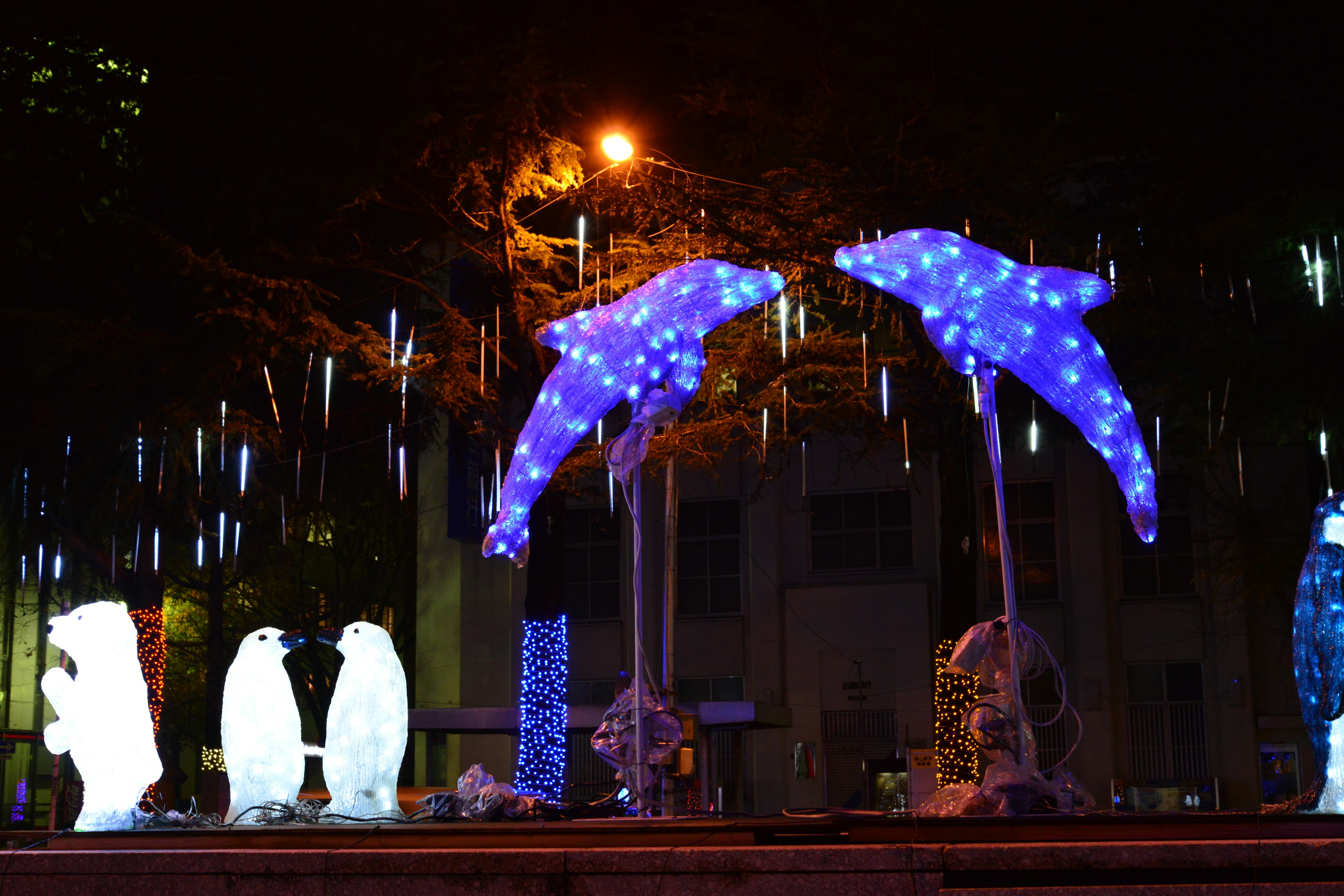 Esculturas iluminadas de delfines y pingüinos en un parque nocturno