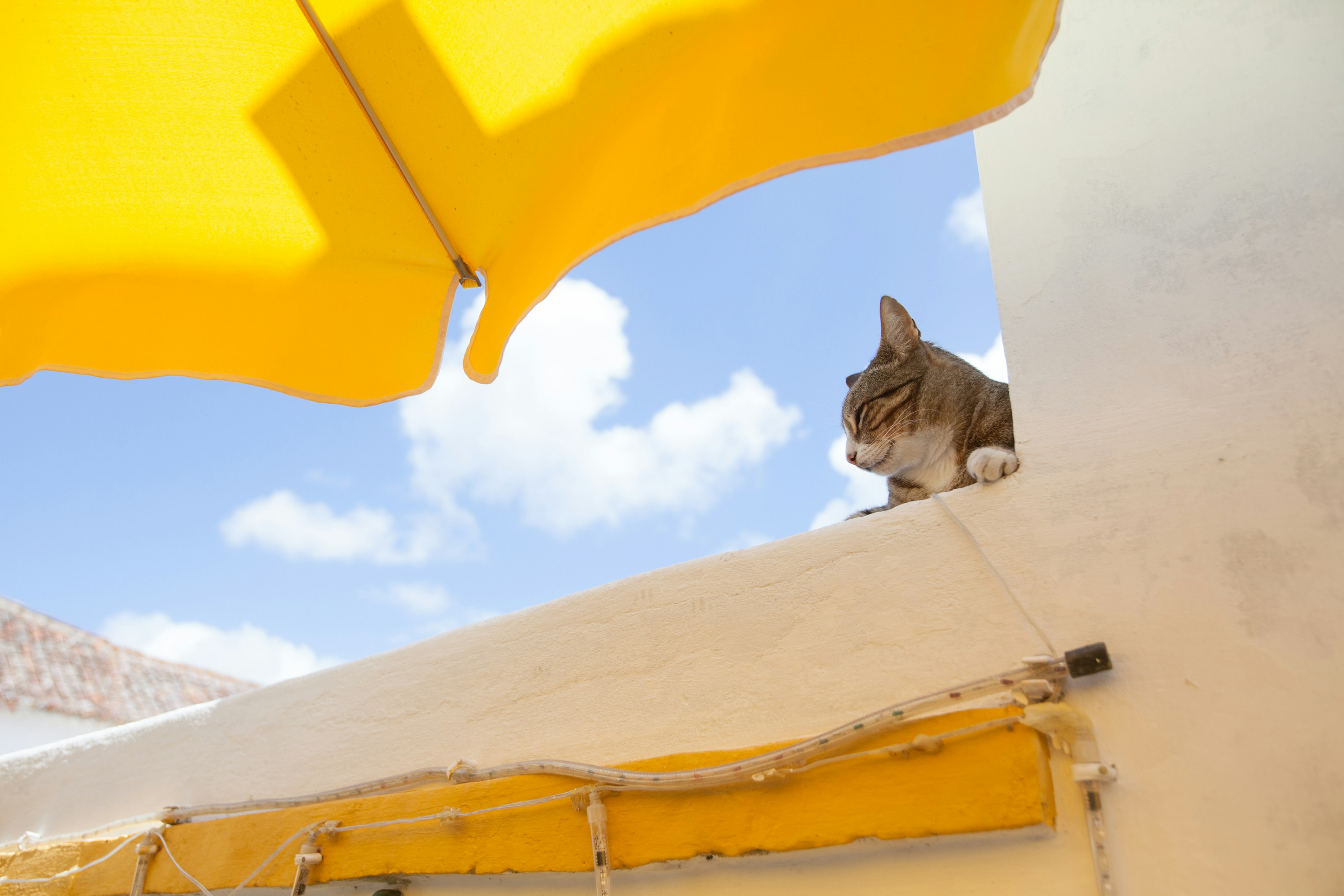 A cat lounging under a yellow umbrella with a blue sky