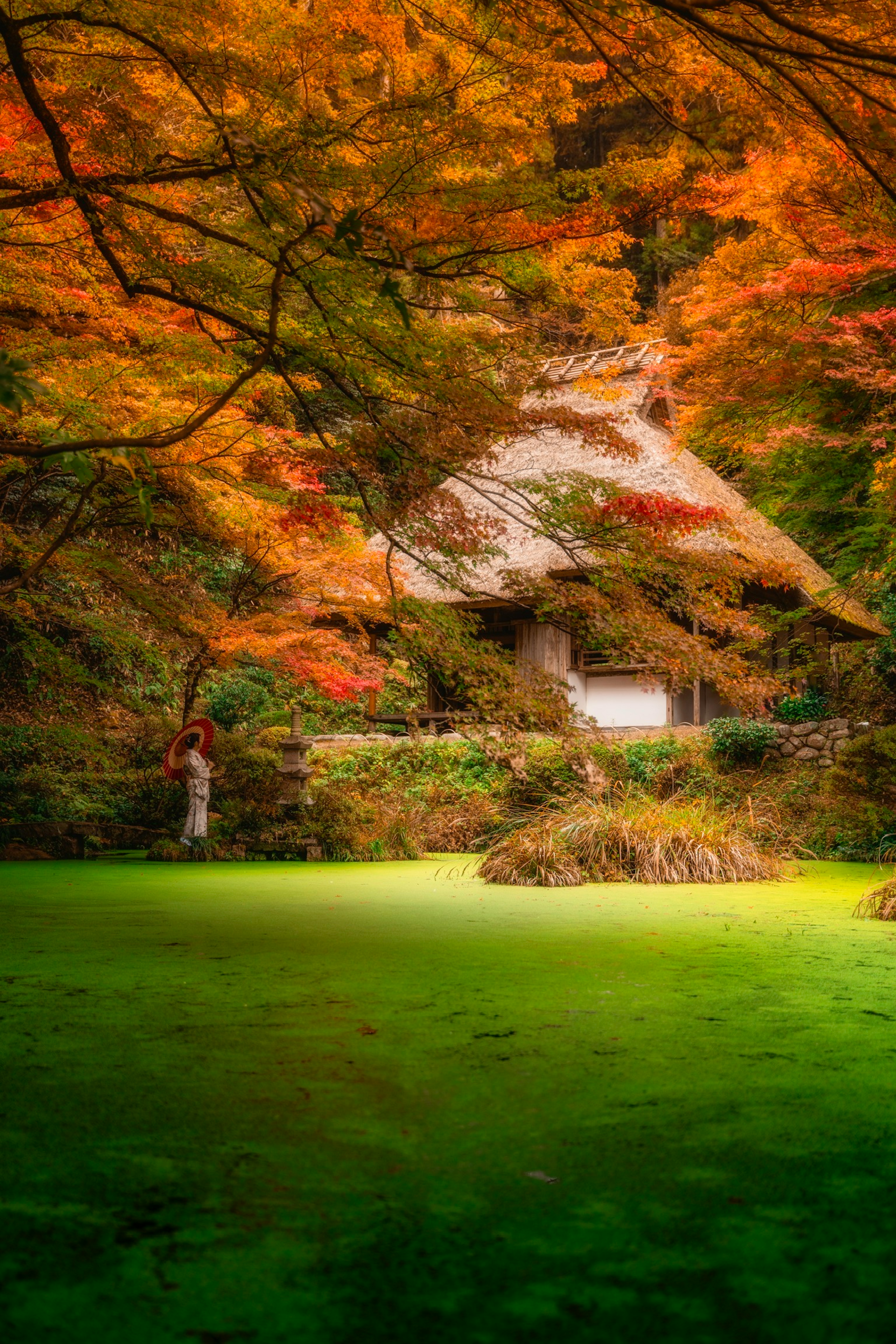 色とりどりの紅葉に囲まれた日本の伝統的な家と池の風景