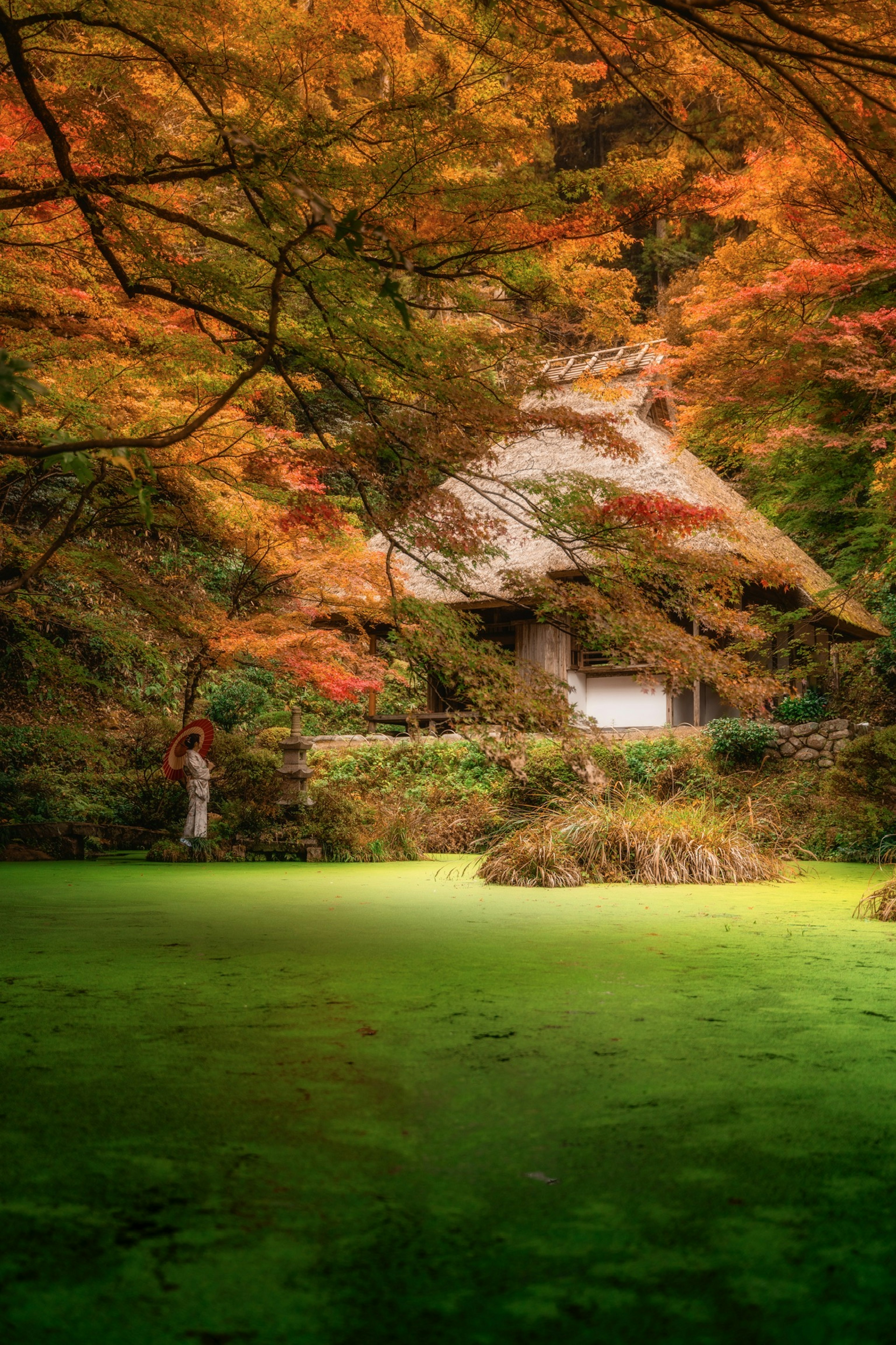 Maison japonaise traditionnelle entourée de feuillage d'automne vibrant et d'un étang tranquille