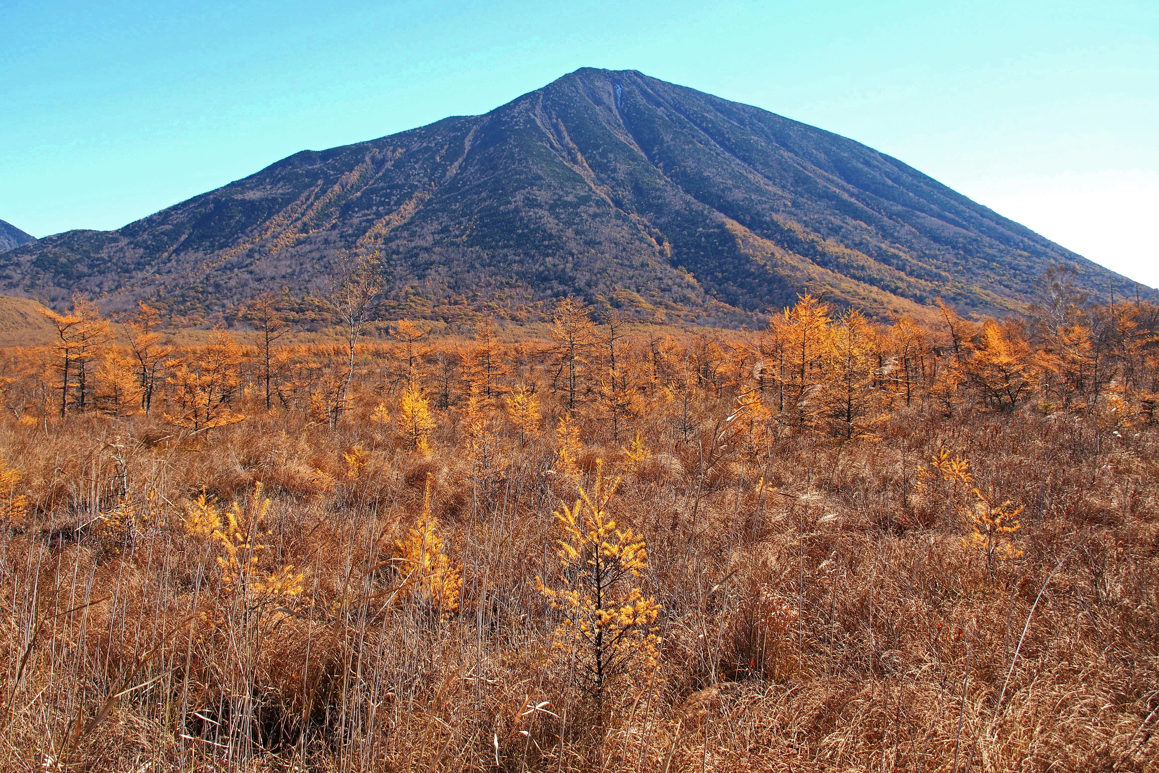 Paisaje montañoso en otoño con follaje naranja