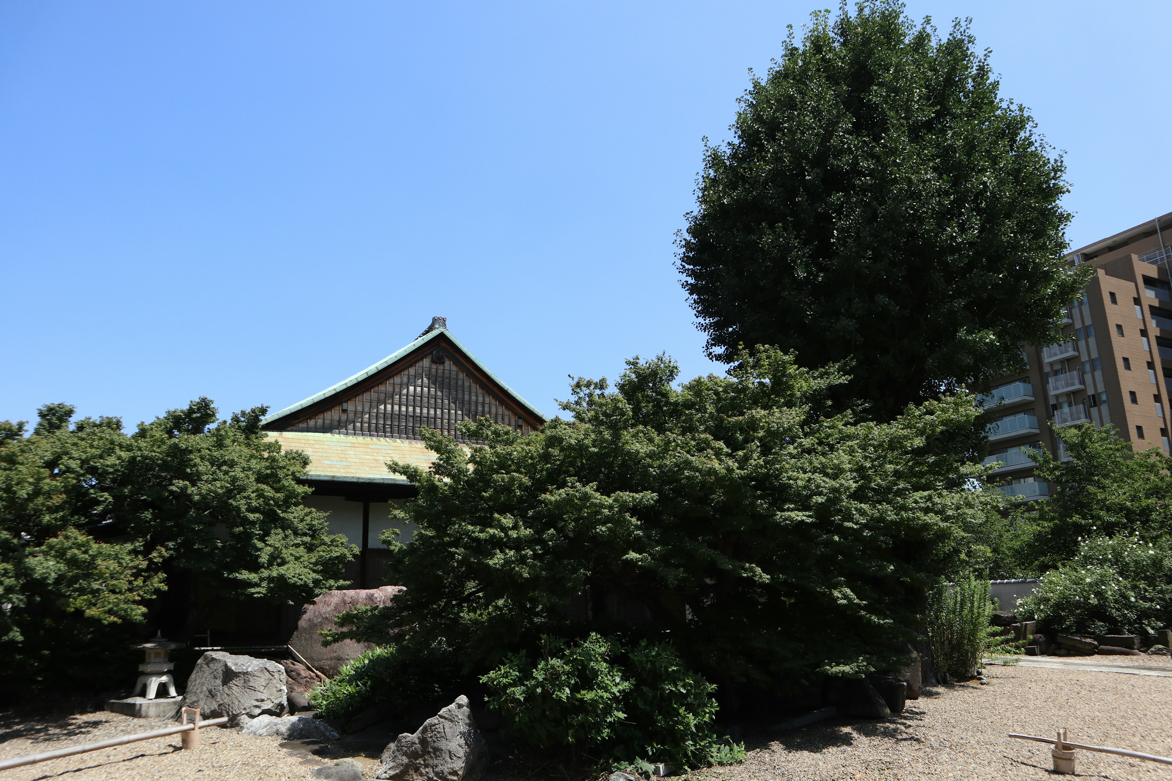 Casa japonesa tradicional rodeada de vegetación exuberante y un edificio moderno