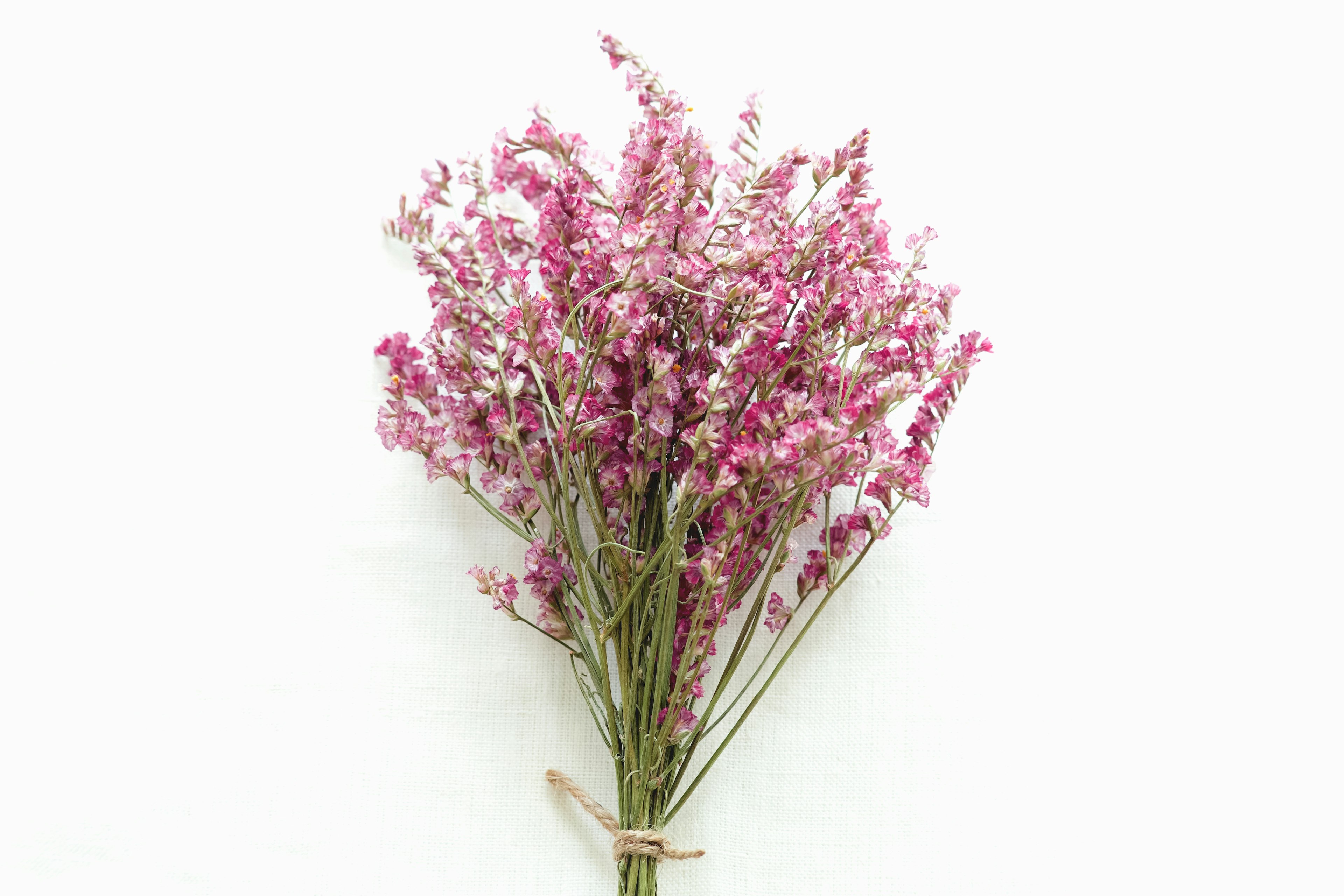 A bouquet of pink flowers against a white background