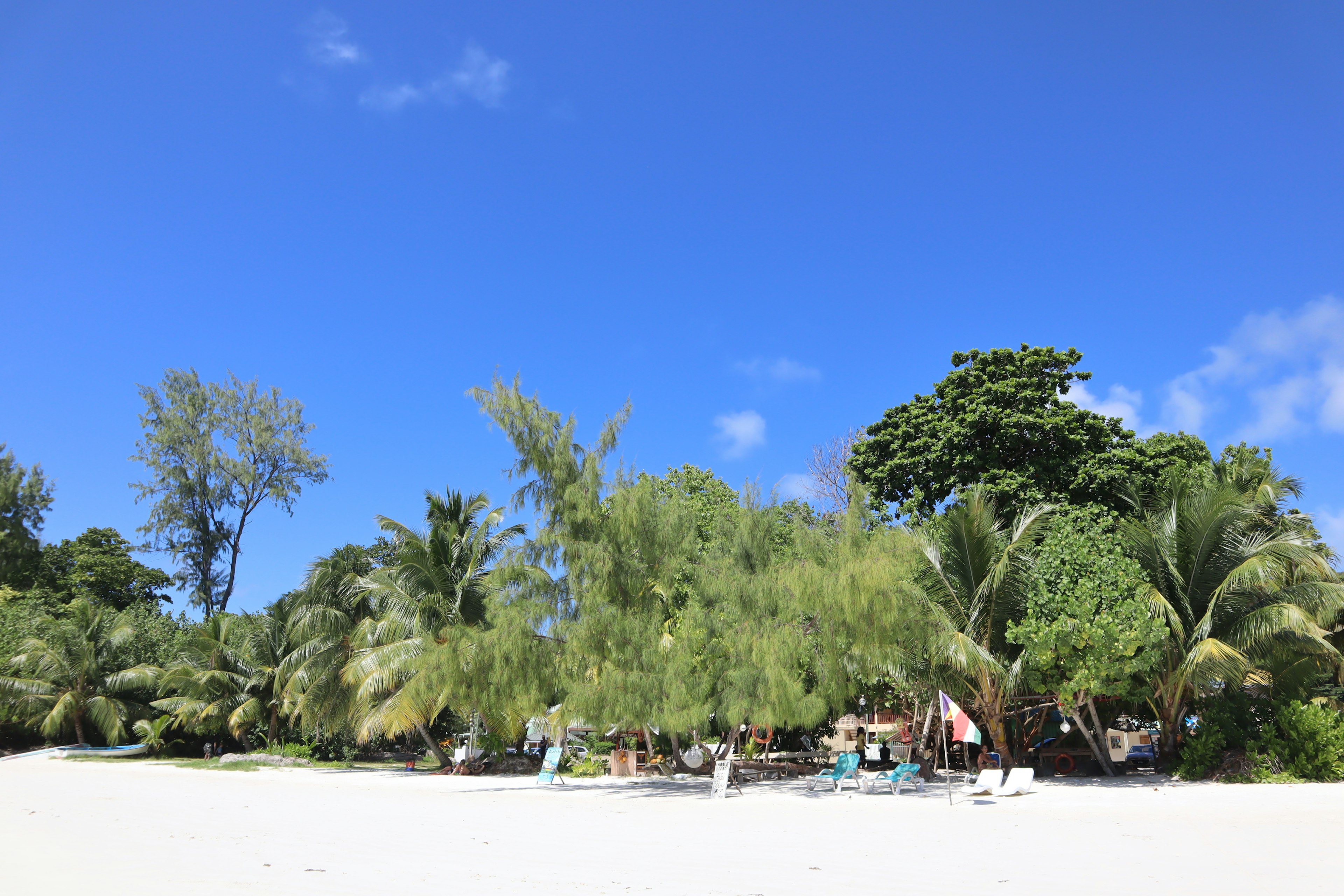 ทิวทัศน์ชายหาดที่ถูกล้อมรอบด้วยท้องฟ้าสีฟ้าและต้นไม้สีเขียว