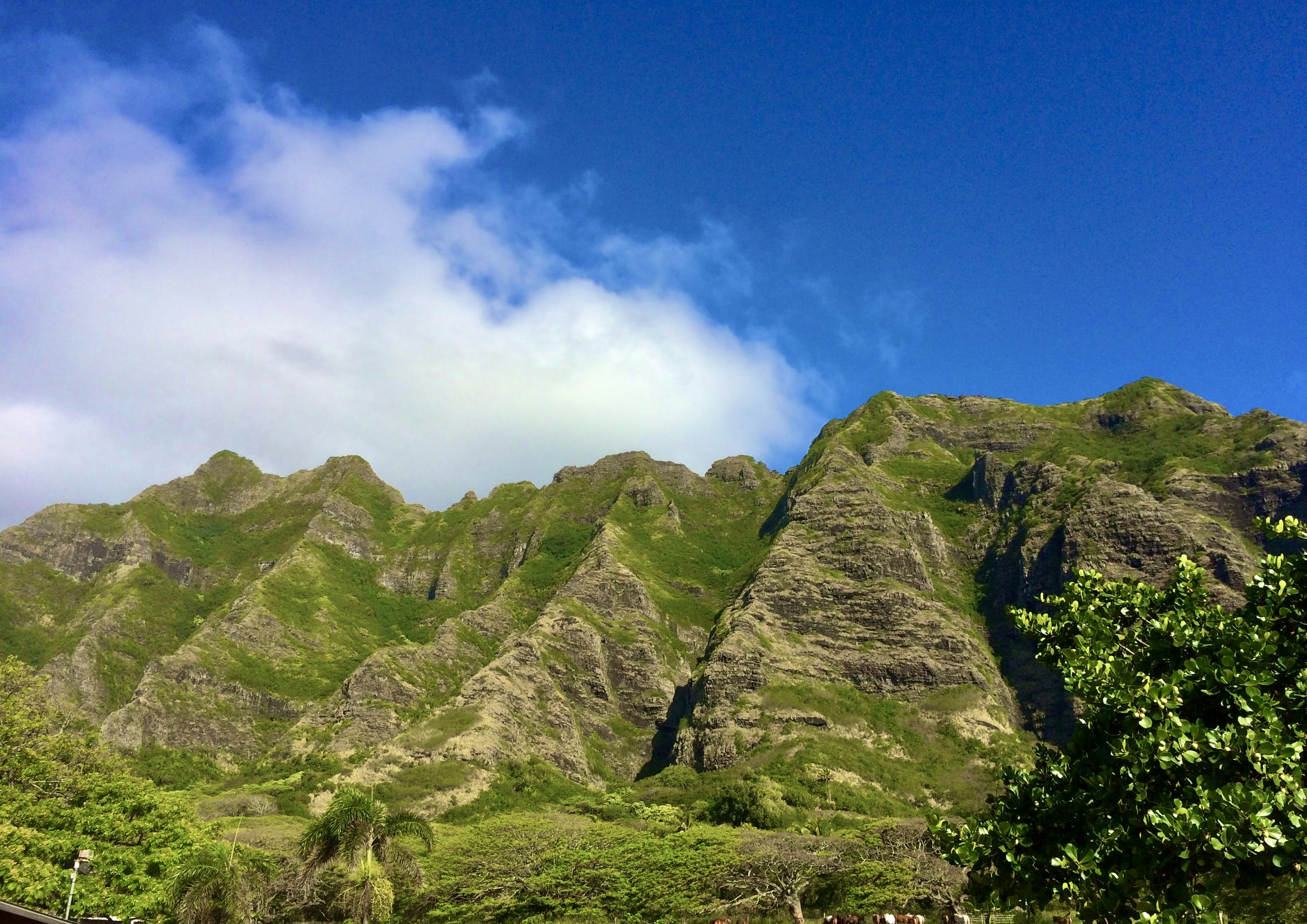 Paisaje con montañas verdes bajo un cielo azul