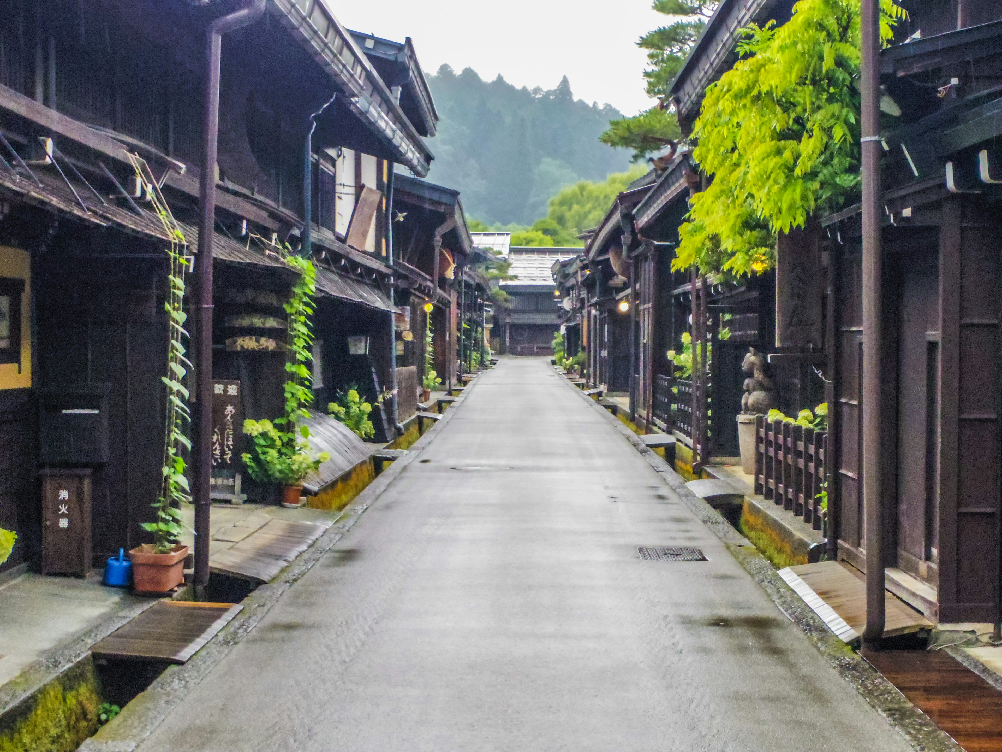 Ruhige traditionelle japanische Straße mit Holzbauten und grünen Pflanzen an den Seiten nasser Gehweg