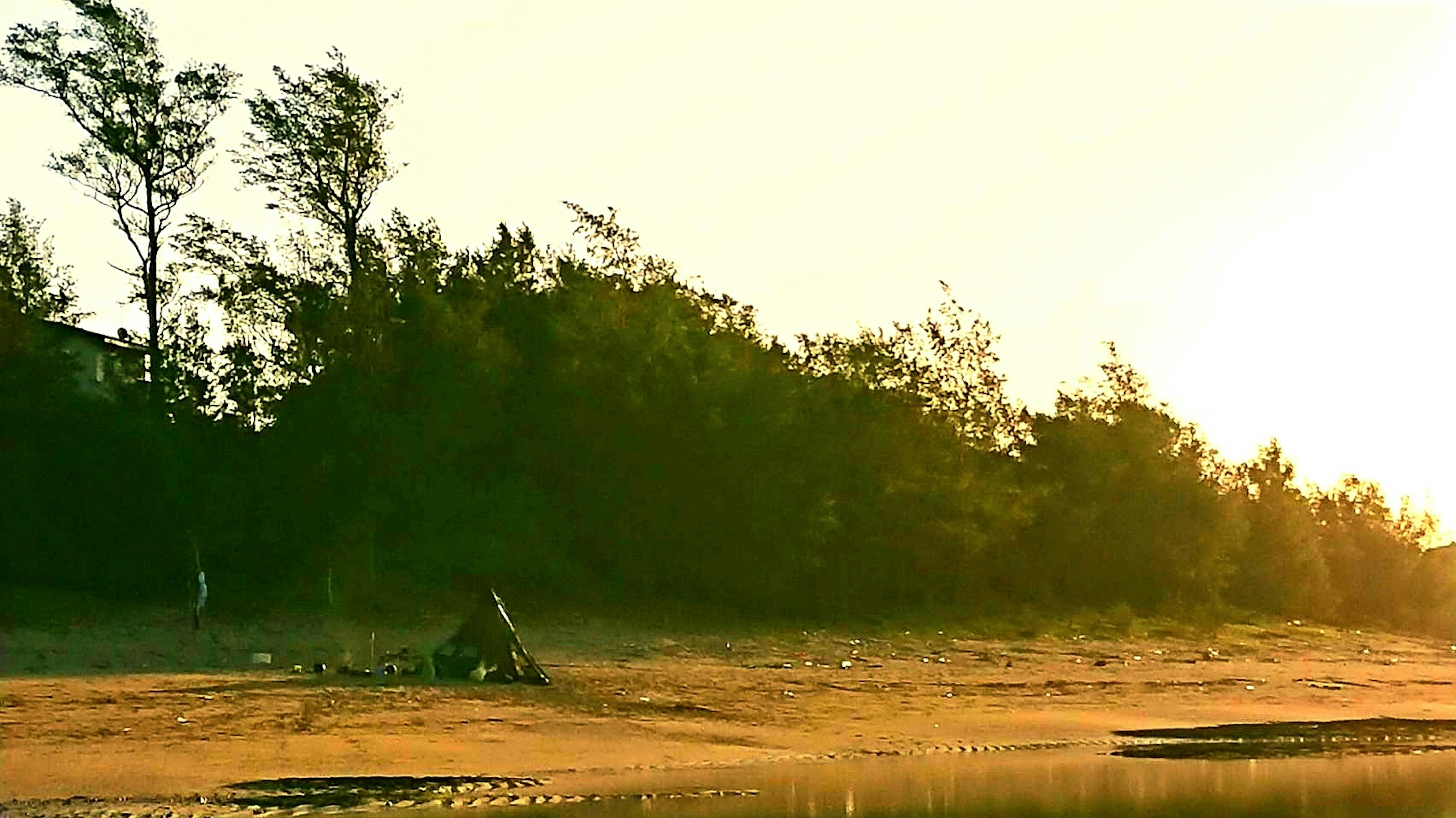 Scène de plage paisible avec lumière de coucher de soleil et arbres