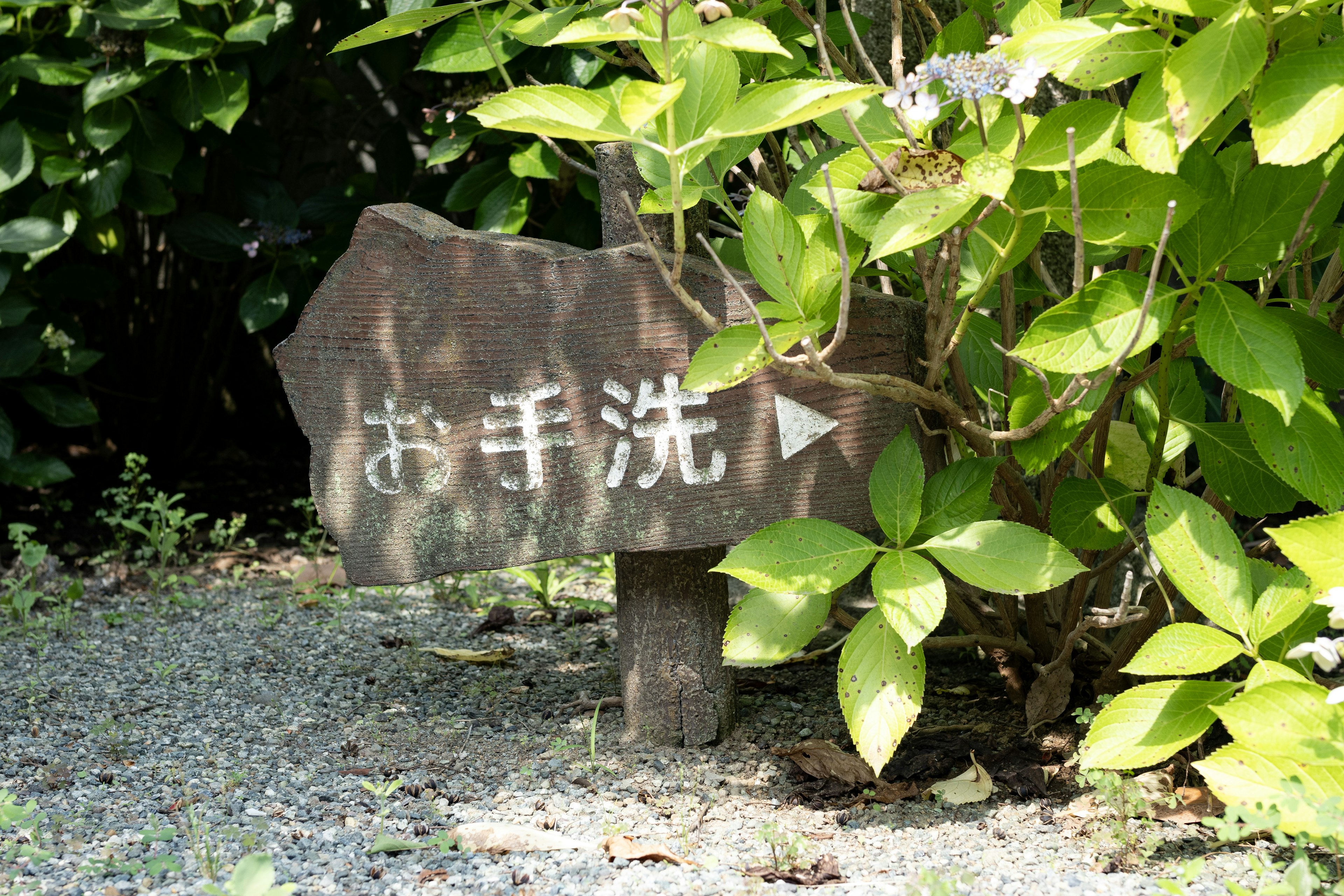 緑の植物に囲まれた木製のサインに「お手洗い」と書かれている