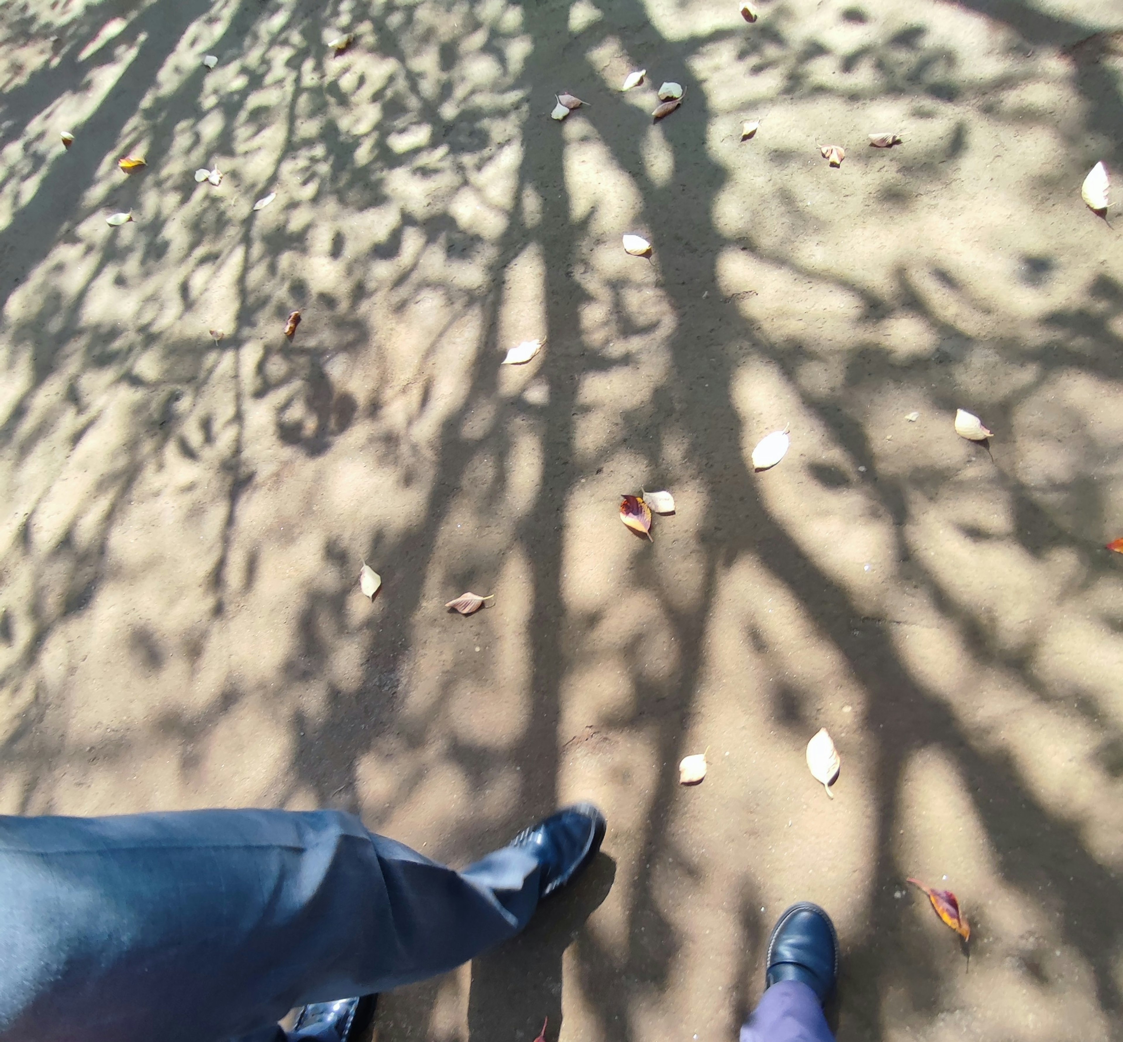 Füße auf einem sandigen Weg mit Baum Schatten und gefallenen Blättern