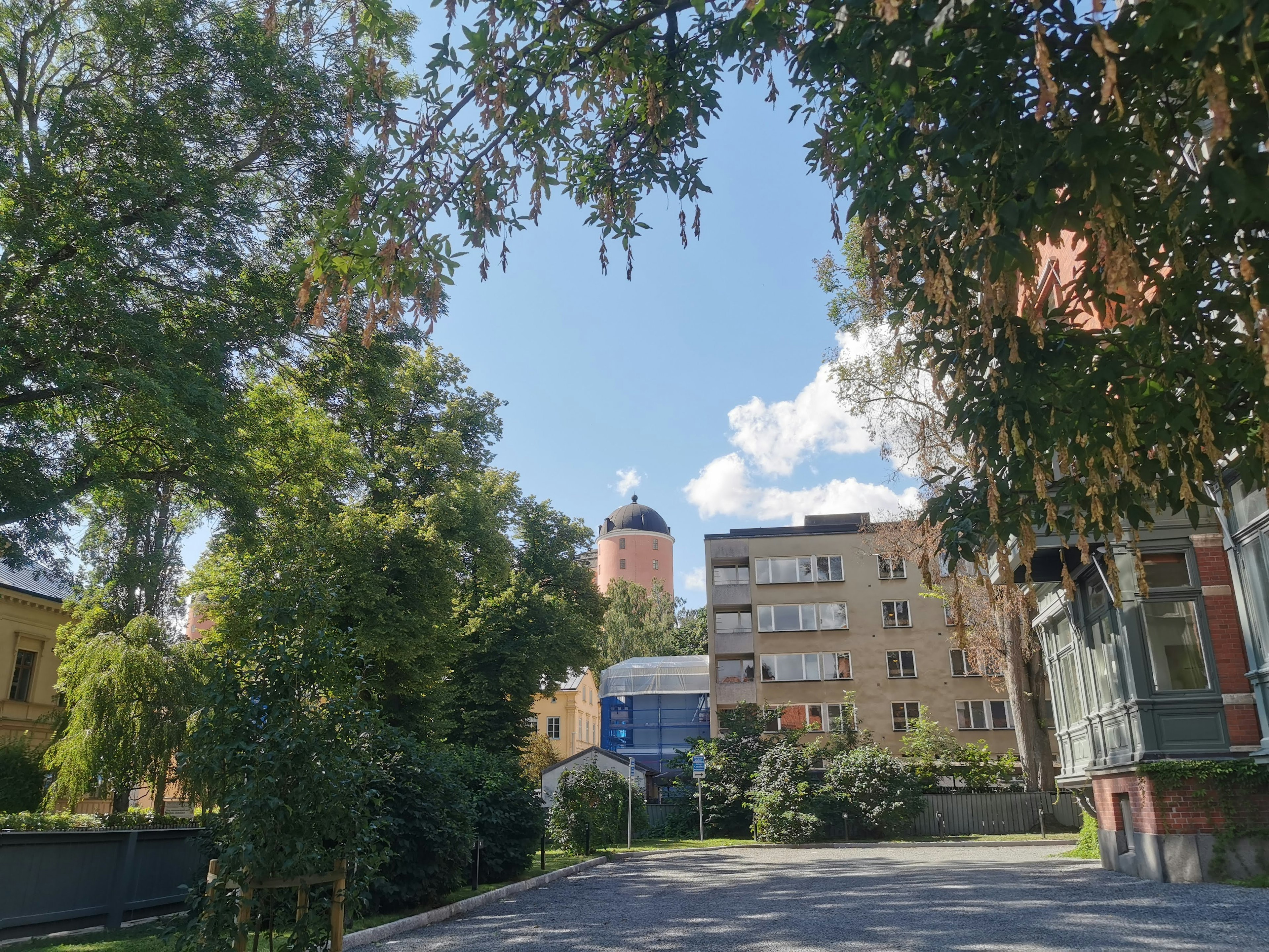 Escena de una calle residencial bajo un cielo azul Altos árboles y edificios bordean la carretera con una torre circular a lo lejos