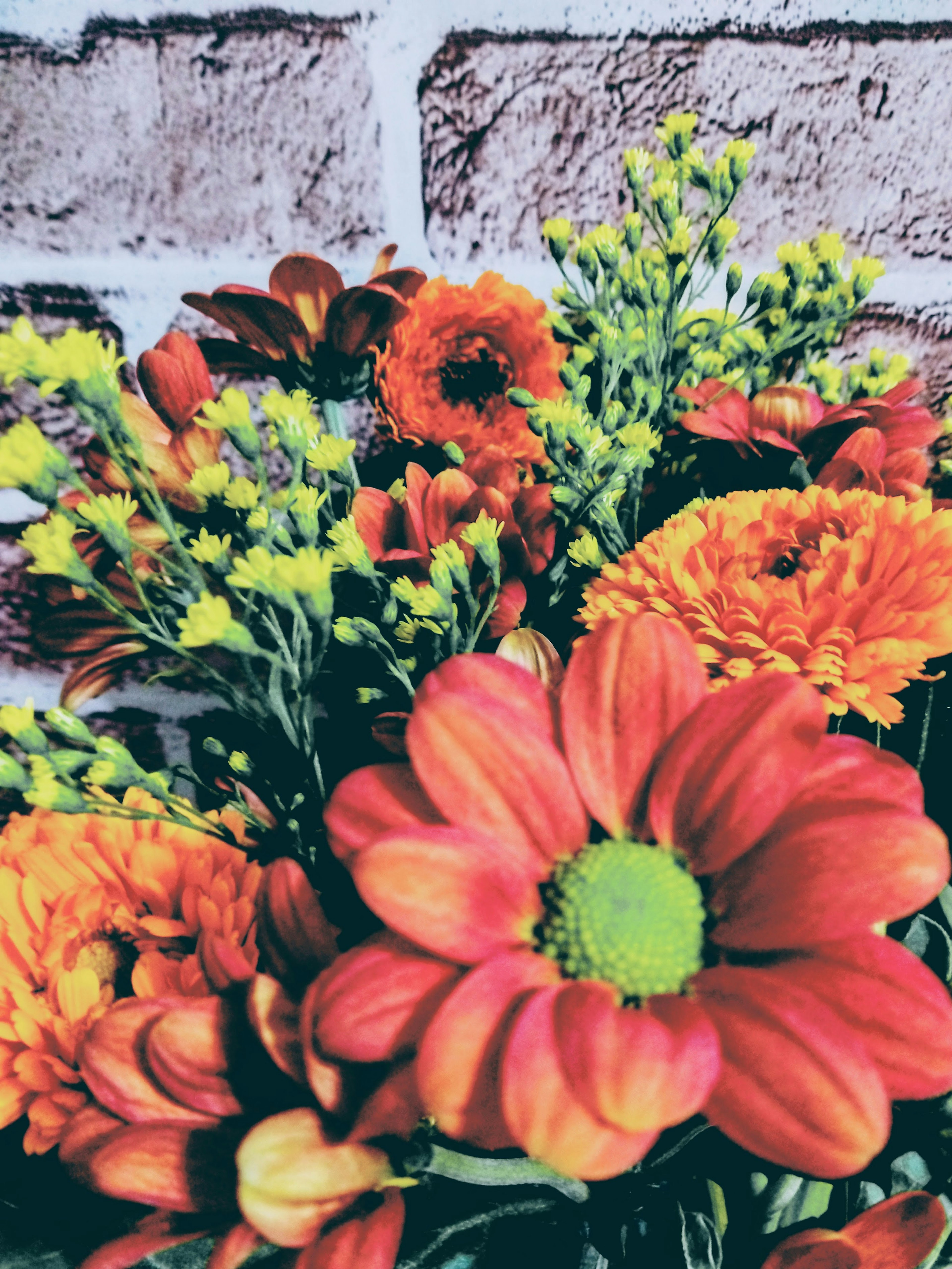 Un bouquet vibrant de fleurs orange devant un mur en briques