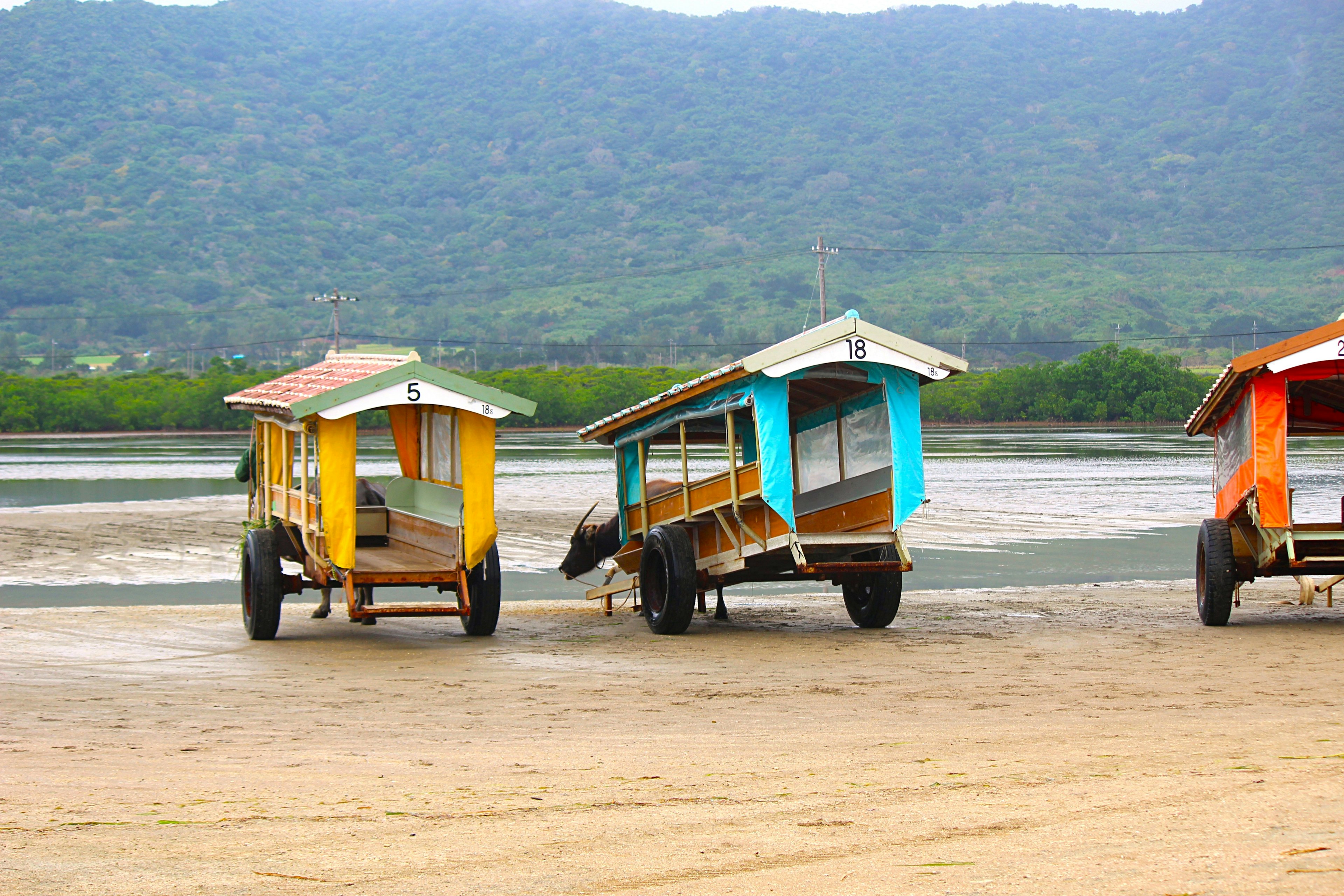 Cabañas coloridas montadas en camiones alineadas en una playa de arena