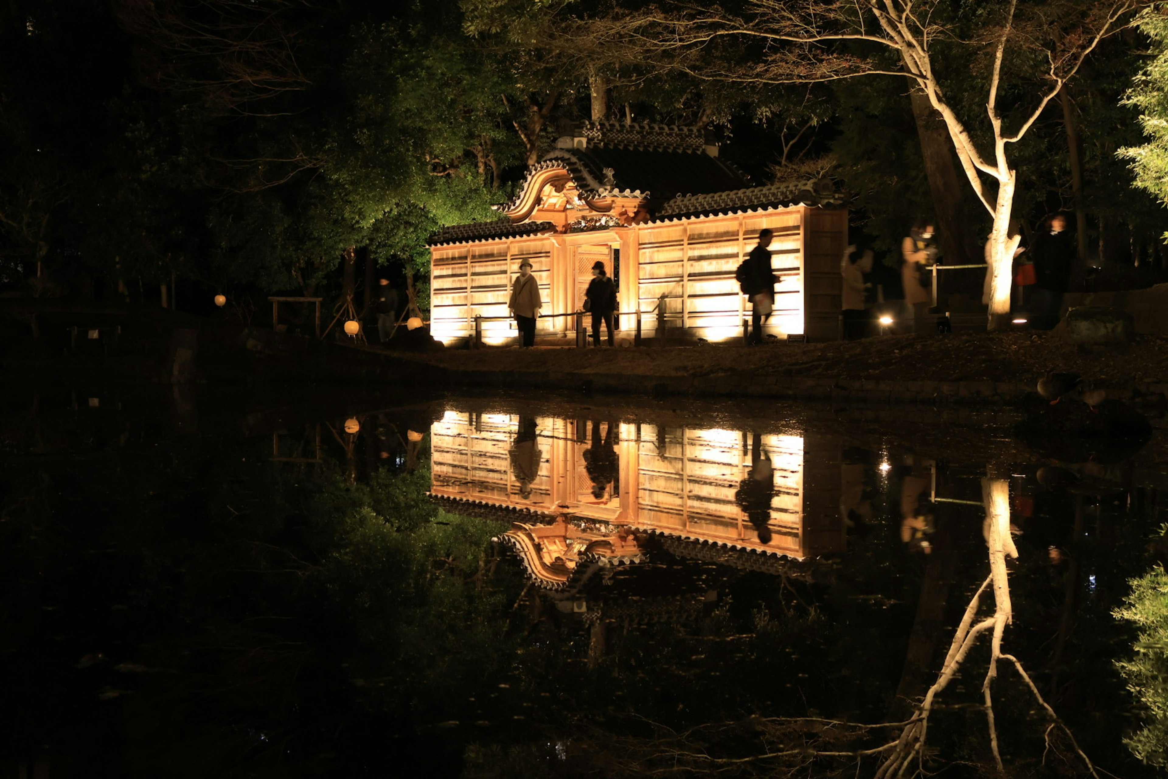 夜間照亮的傳統日本建築與池塘中的倒影和周圍的樹木