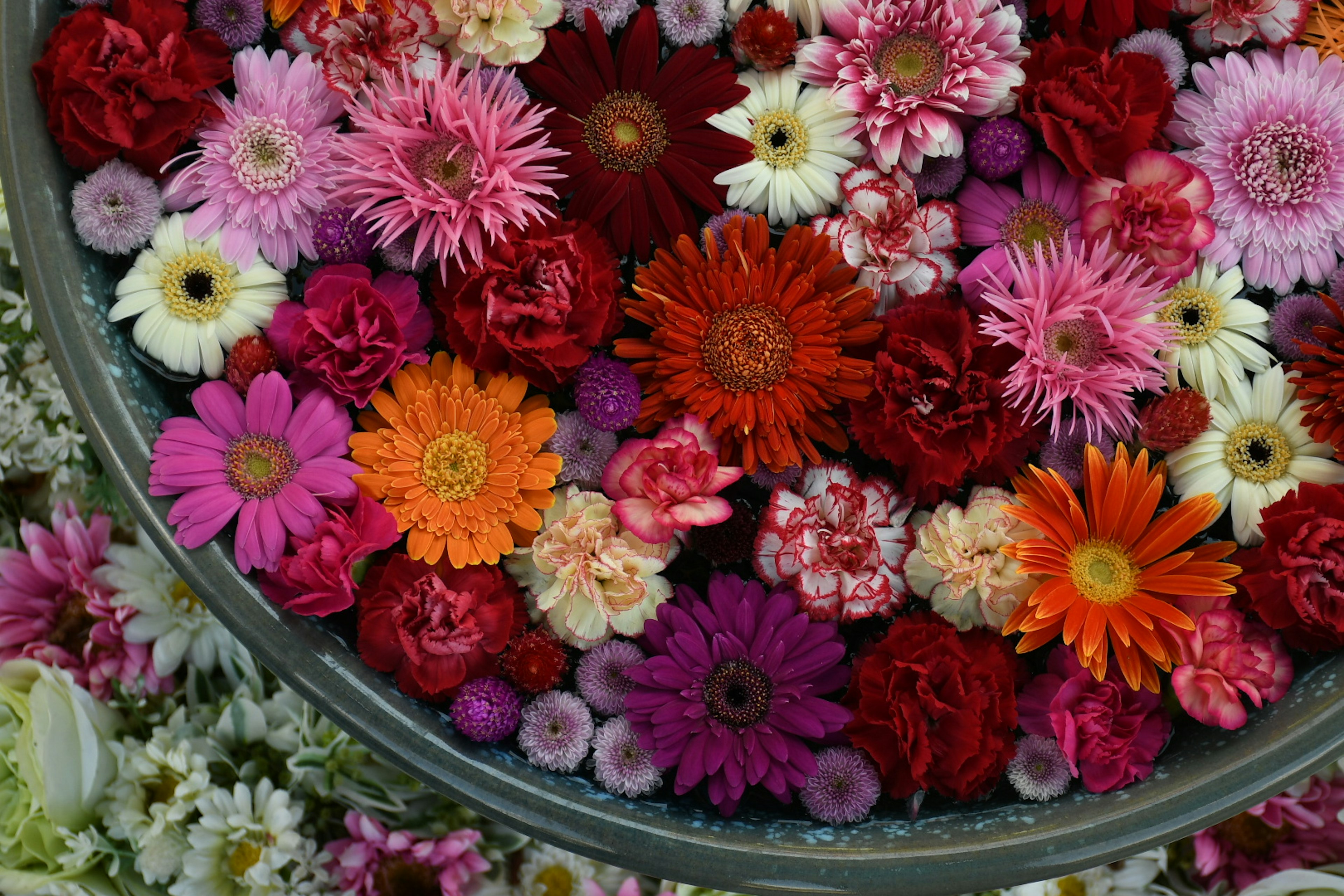 A top-down view of a bowl filled with various colorful flowers