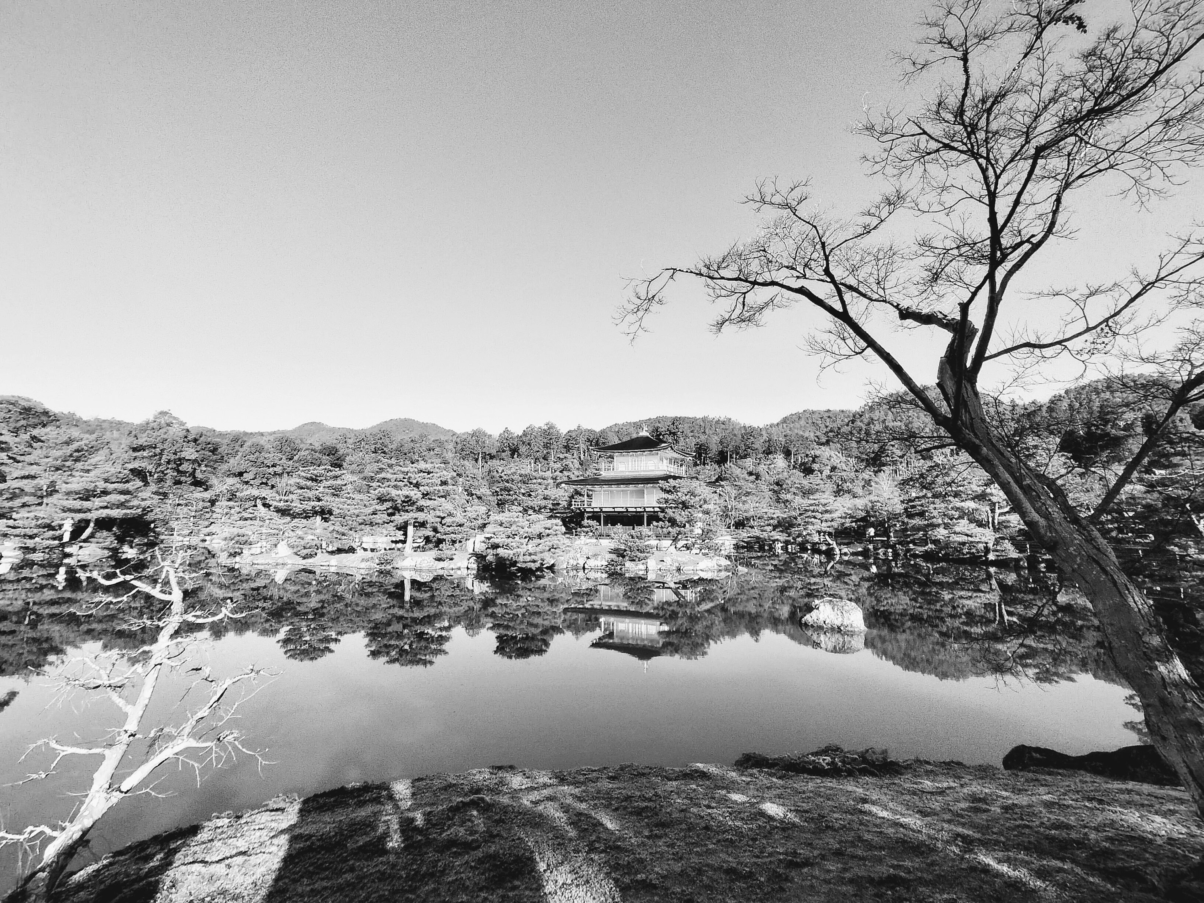 Black and white landscape of a Japanese garden with a calm water surface and trees reflected