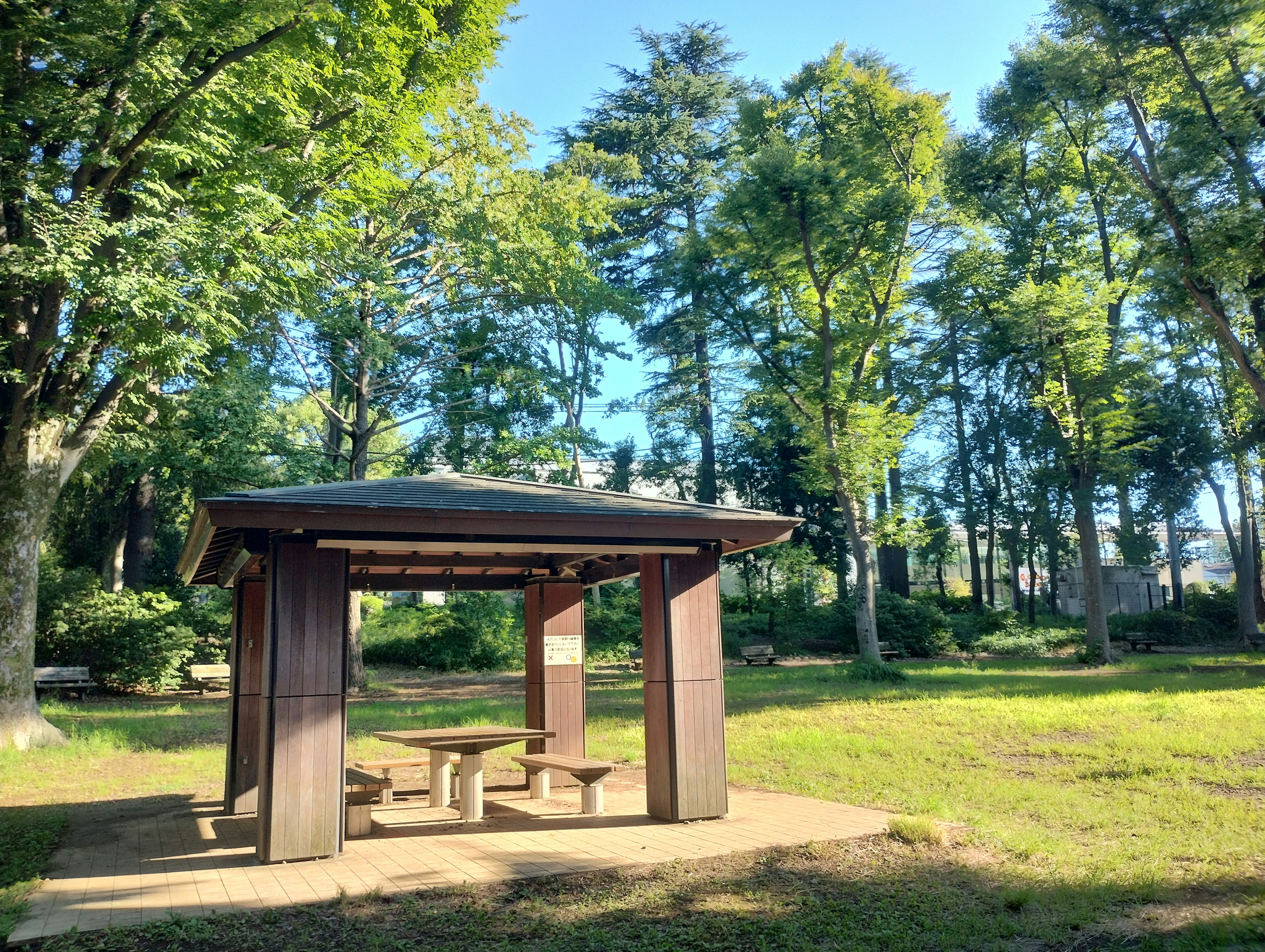 緑豊かな公園にある木製のパーゴラとベンチ