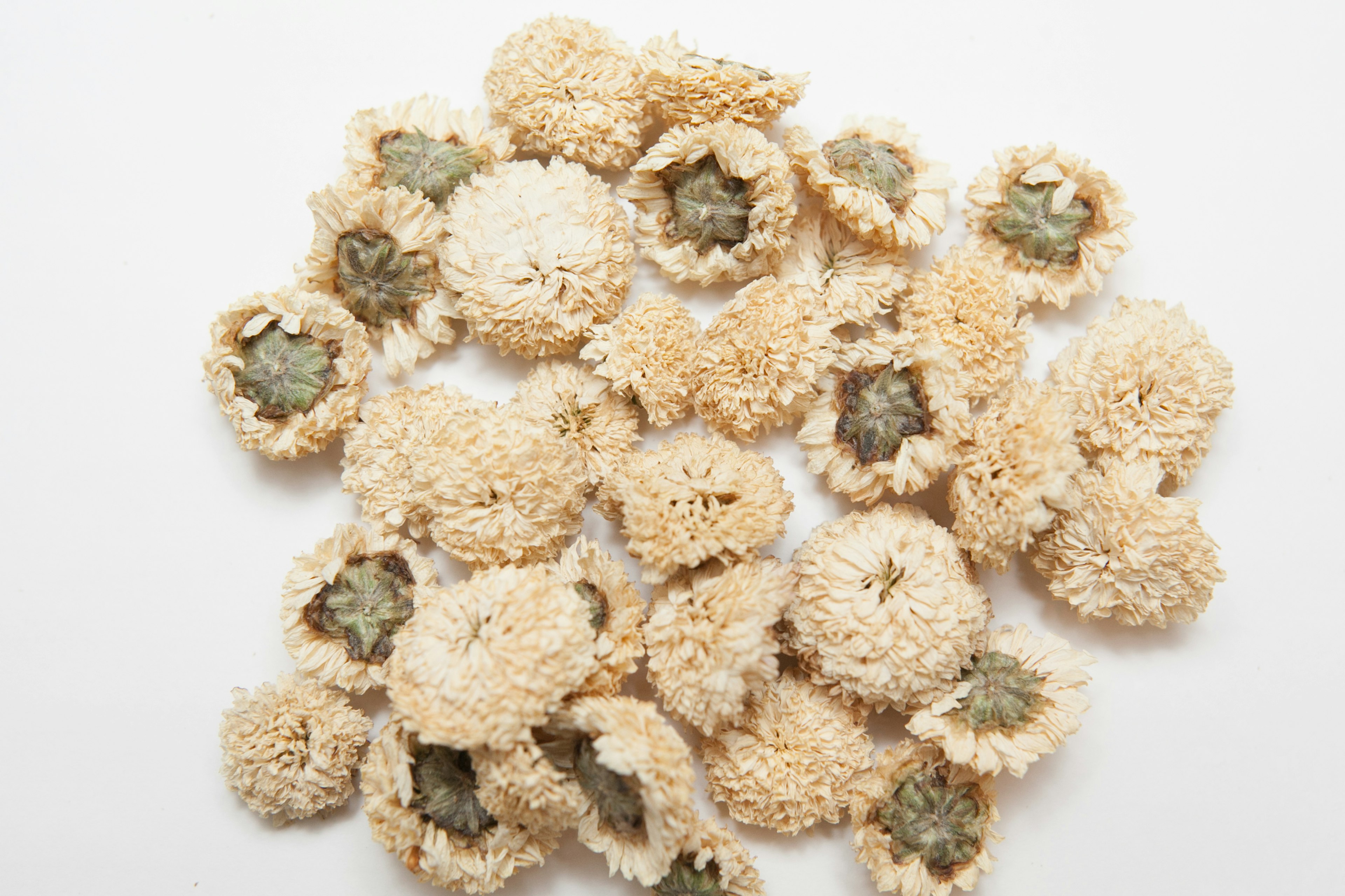 Dried flower-like plant parts arranged on a white background