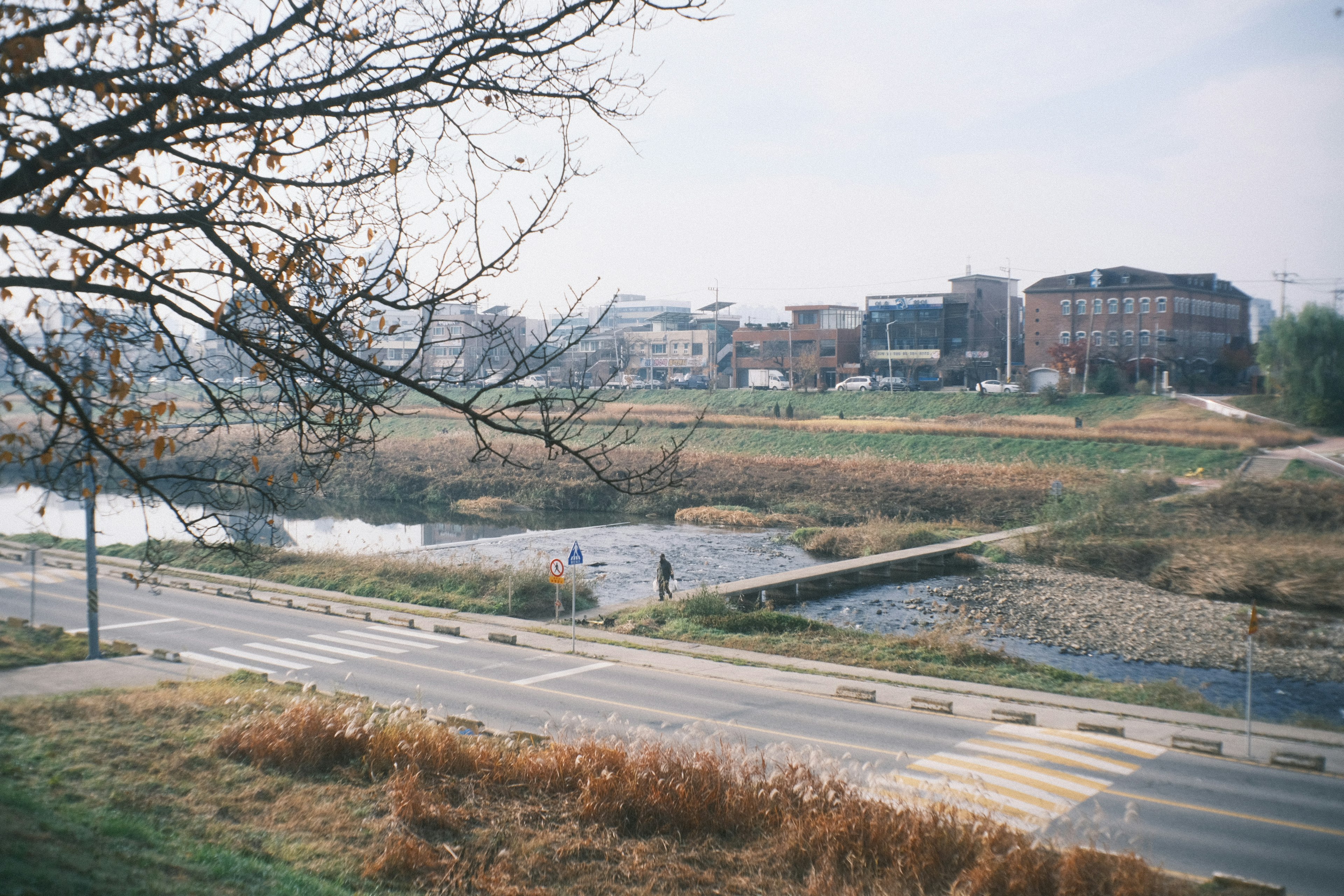 Eine ruhige Landschaft mit einem Fluss und einer Rasenfläche entlang einer Straße