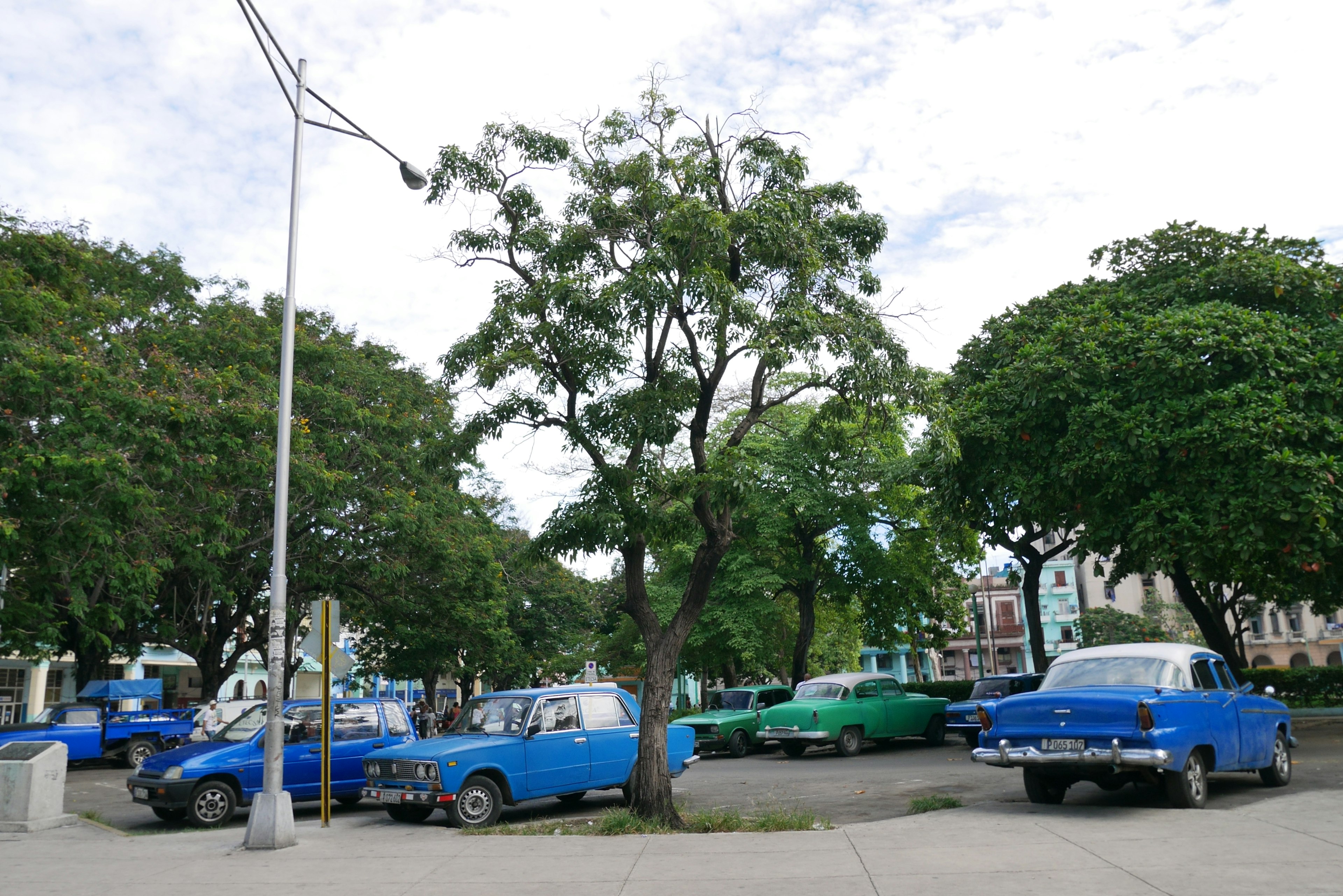 廣場的美景 藍色汽車環繞著綠色樹木和明亮的天空