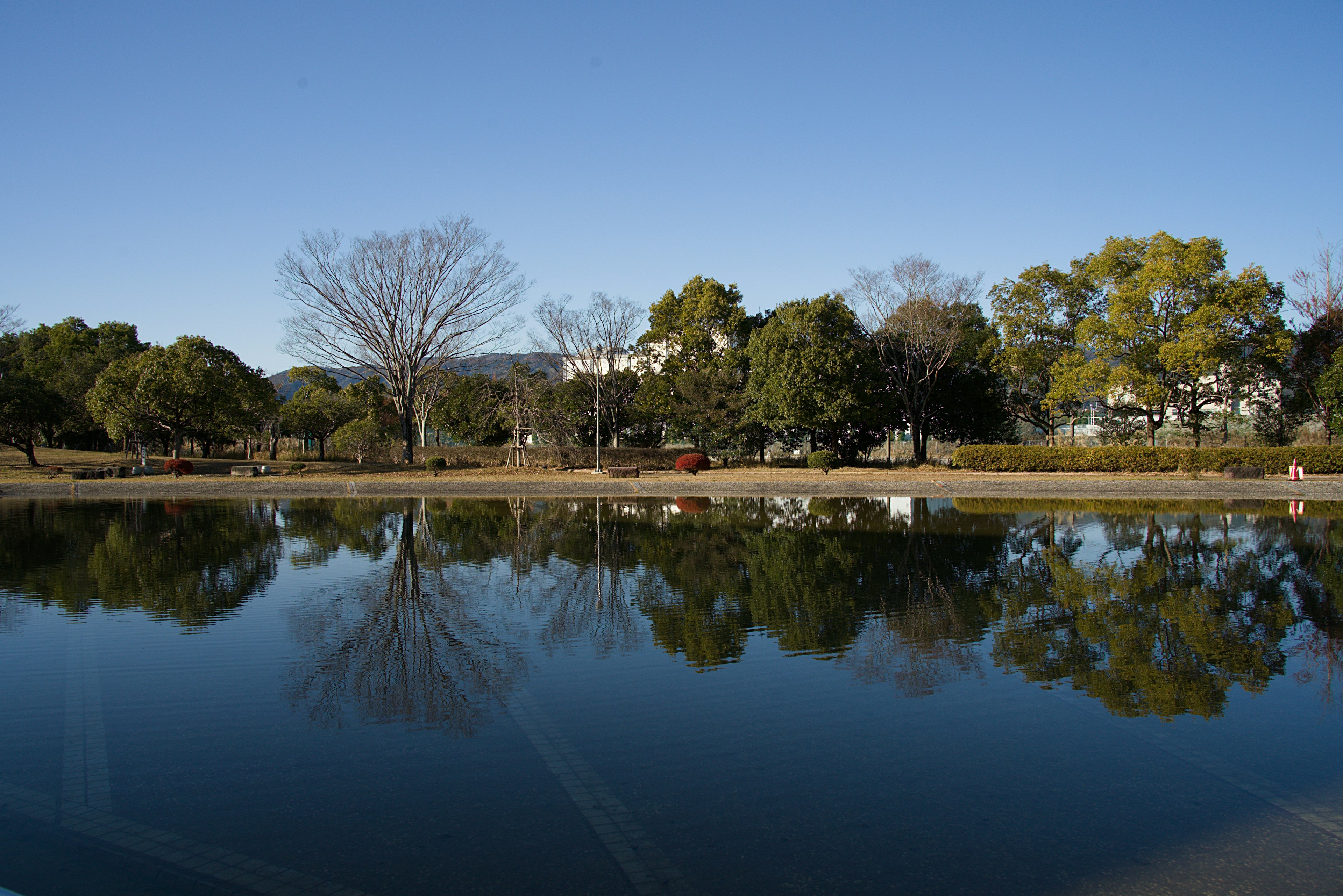 Serene landscape with trees and blue sky reflected on calm lake surface